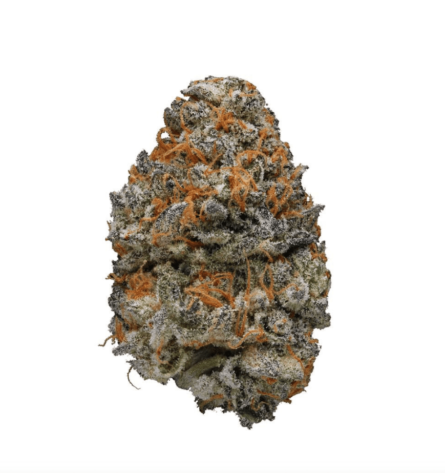animalcookies ANIMAL COOKIES STRAIN