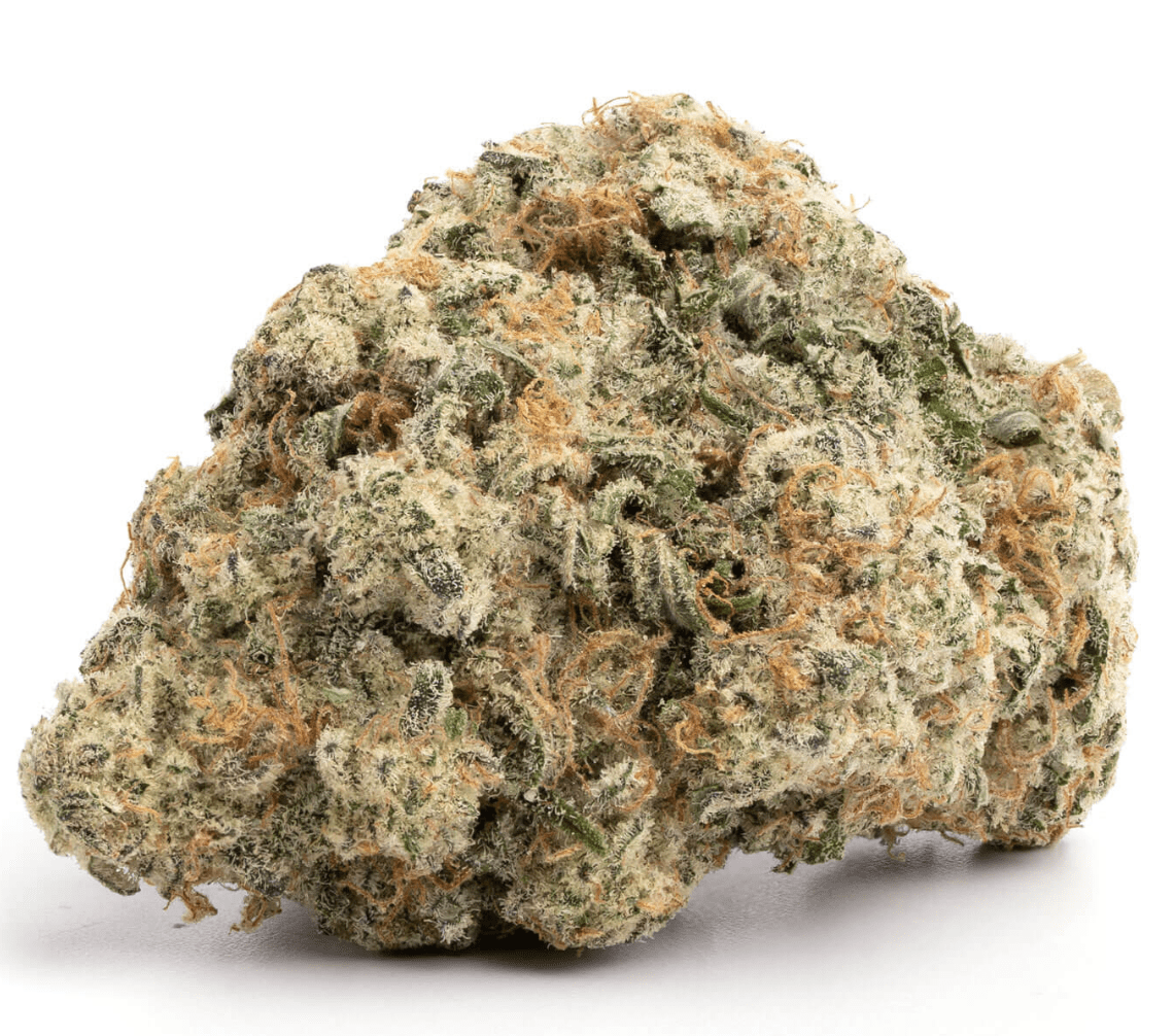 GORILLA BOMB - Hybrid (AAA)