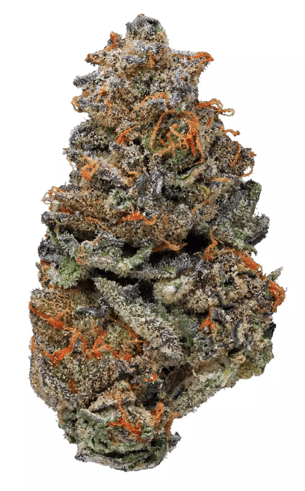 GIRL SCOUT COOKIES - Hybrid (AA+)