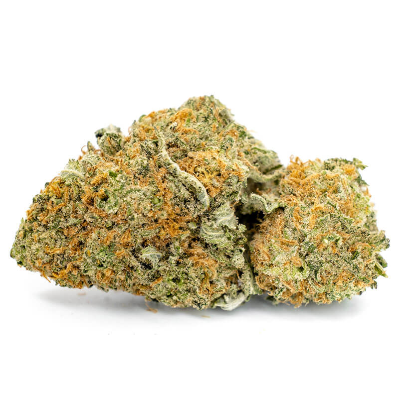 WATERMELON KUSH - Hybrid (AAA)