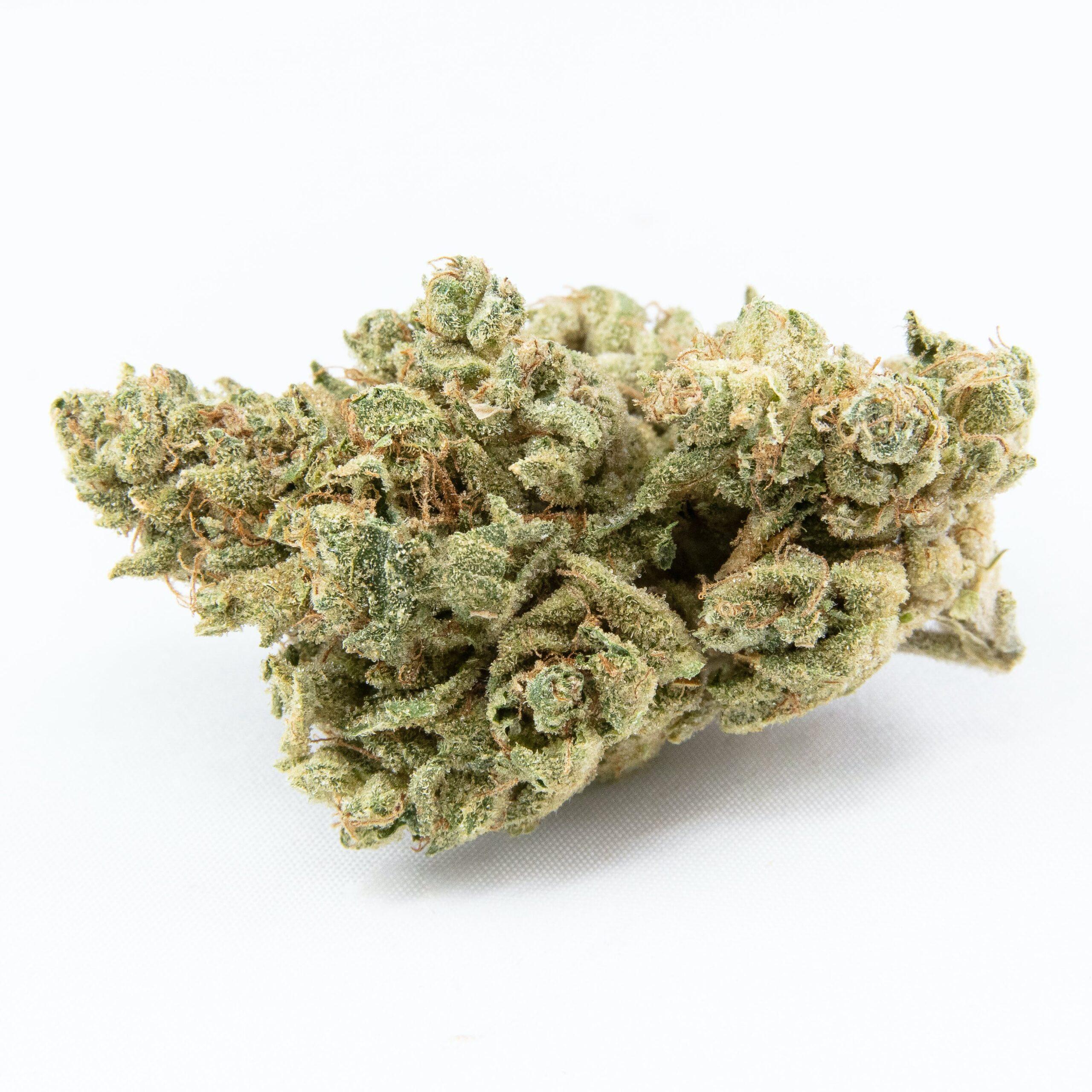 FATSO STRAIN - Indica (AAA) (Craft Cannabis)