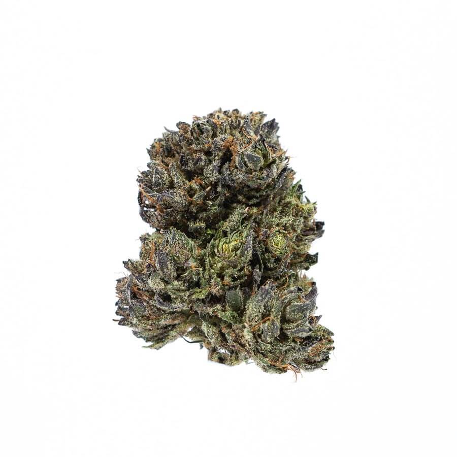 PLUTO KUSH - Hybrid (AAA)