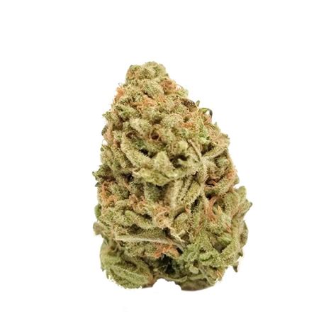 GREEN GODDESS - Sativa (AAA+)