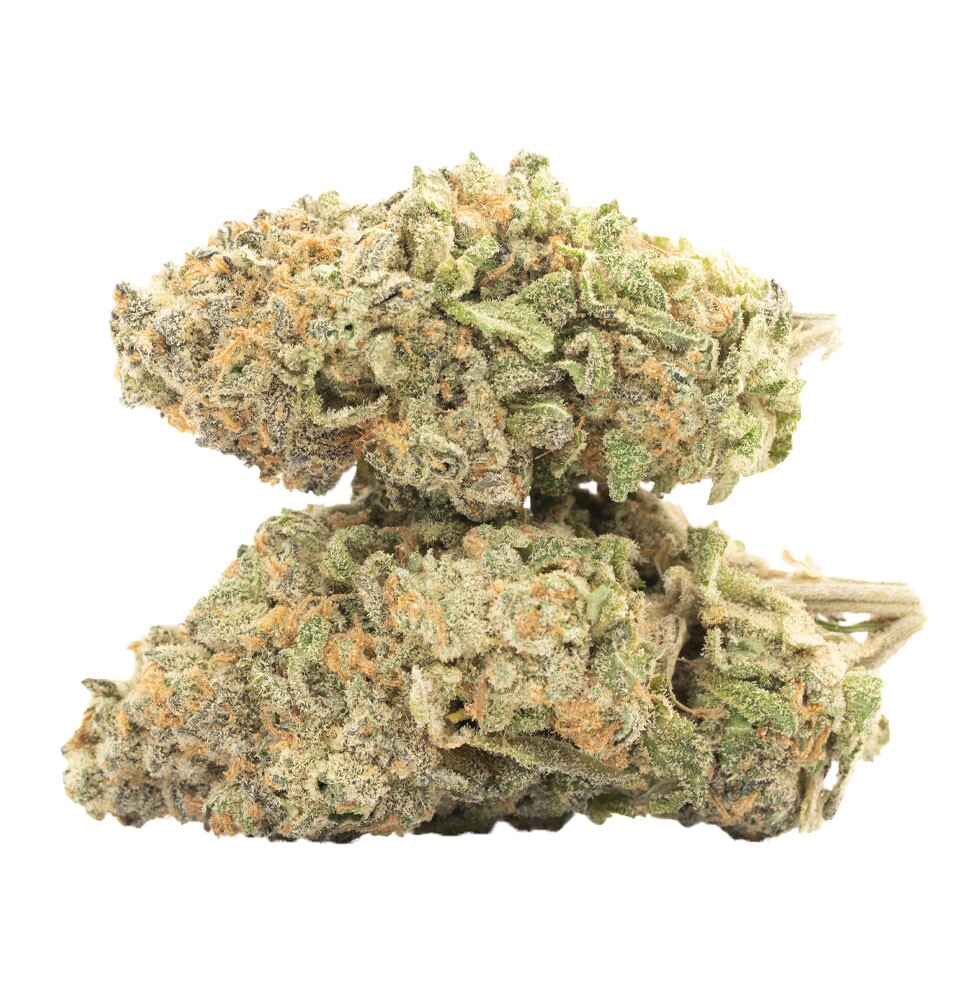 ORANGE DREAM - Hybrid (AAA)