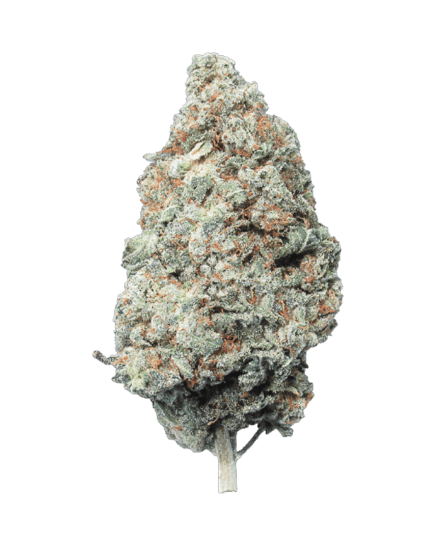 GORILLA CAKE STRAIN