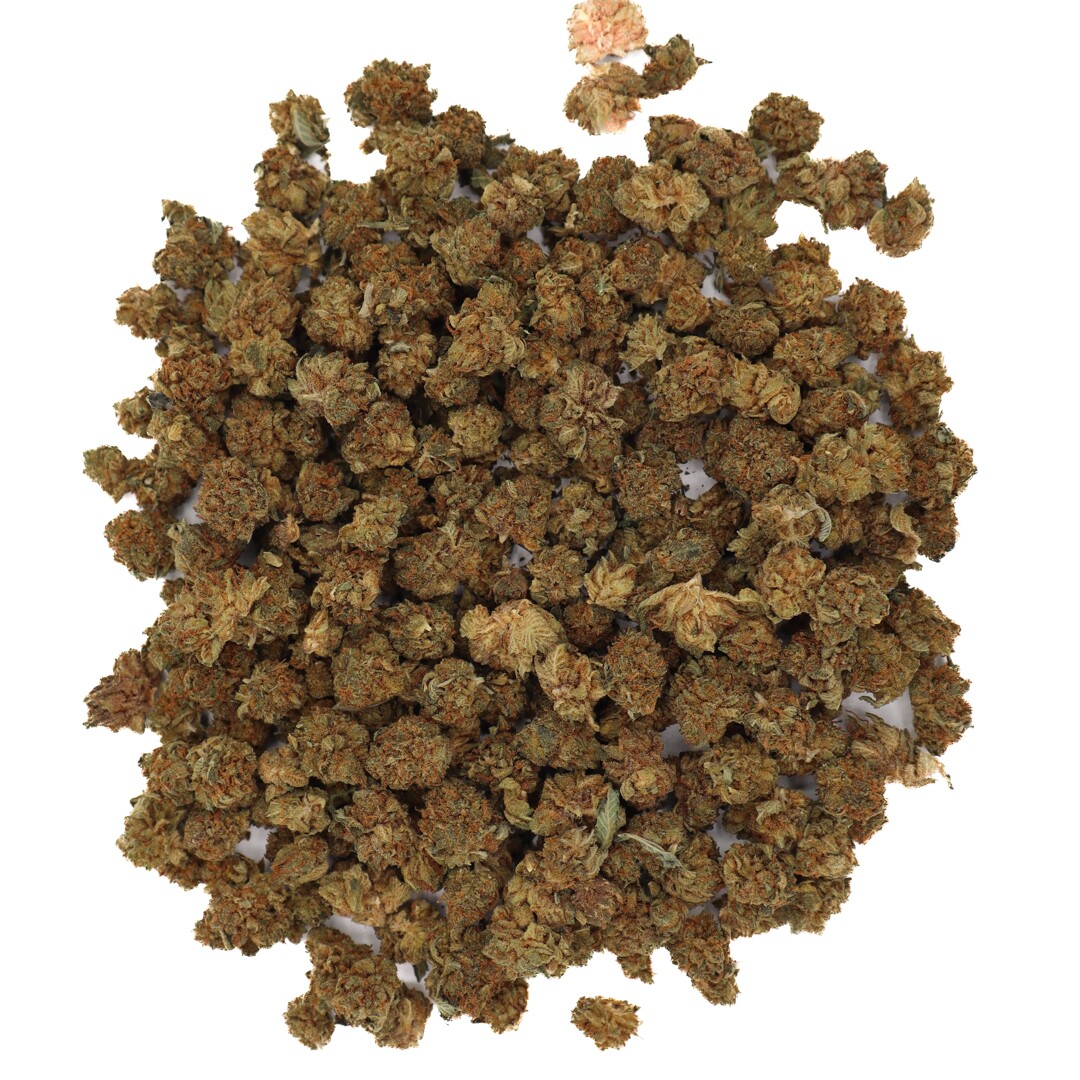 GORILLA GLUE POPCORN BUDS - Indica (A)