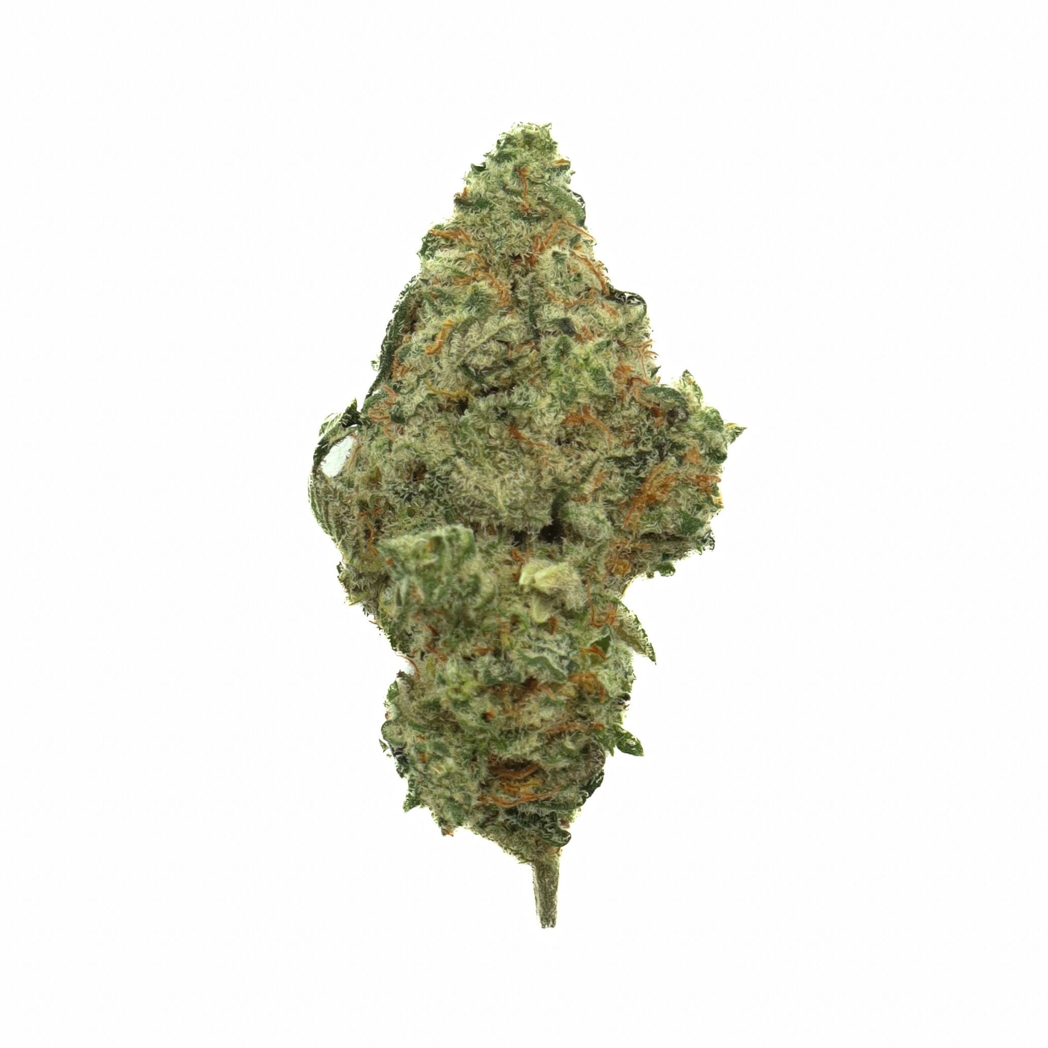 Buy Double OG Kush