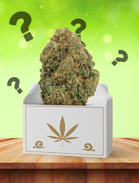 Mystery AAA (Sativa)