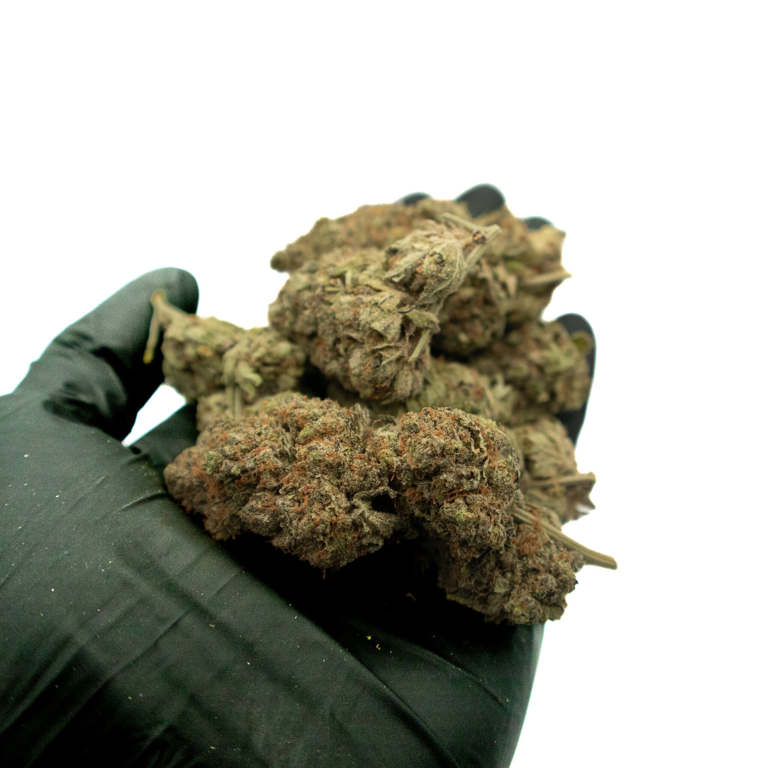 PURPLE HAZE - Sativa (AA+) - Image 2