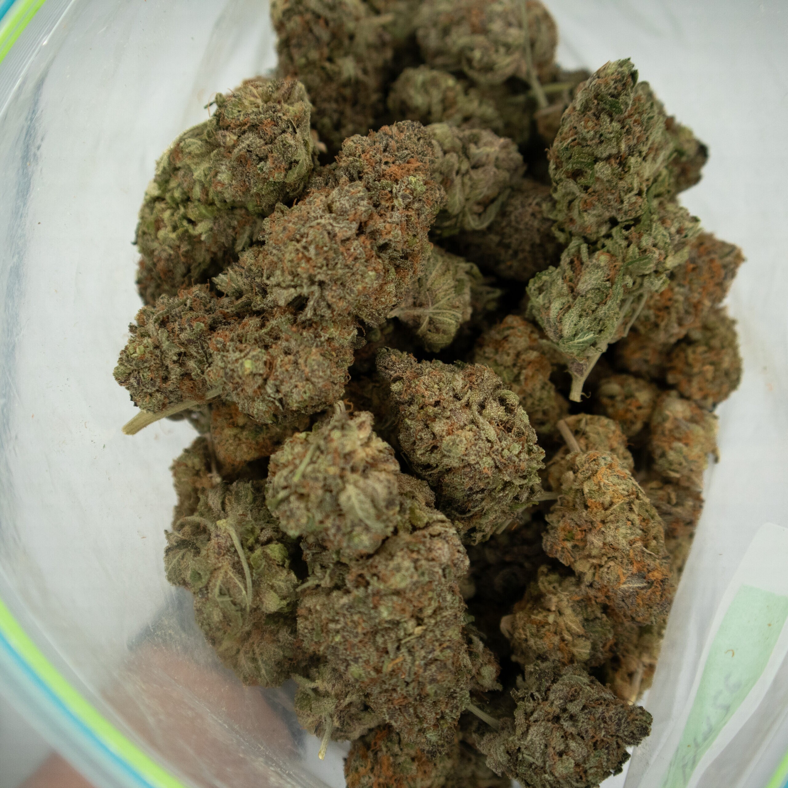 PURPLE HAZE - Sativa (AA+) - Image 3