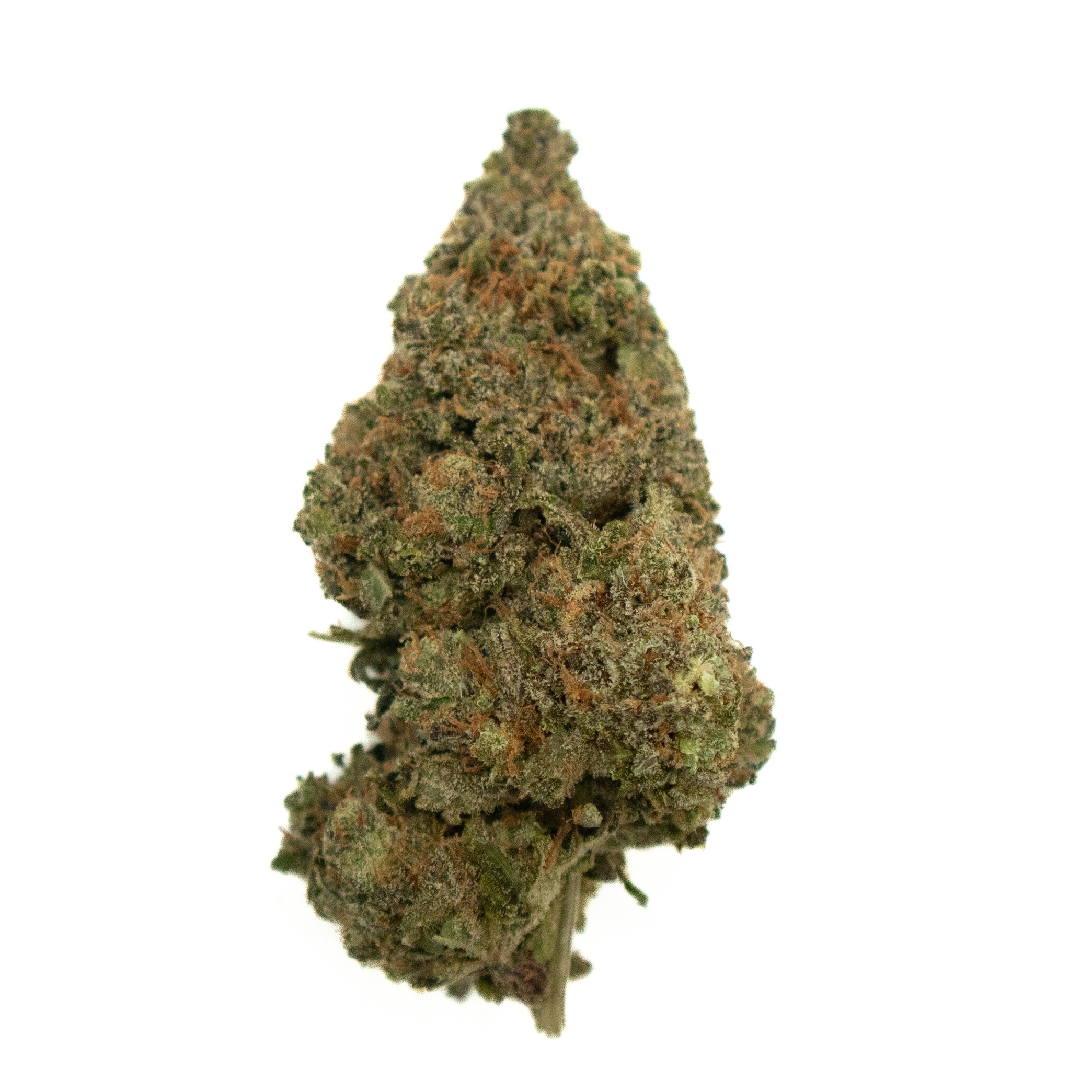PURPLE HAZE - Sativa (AA+)