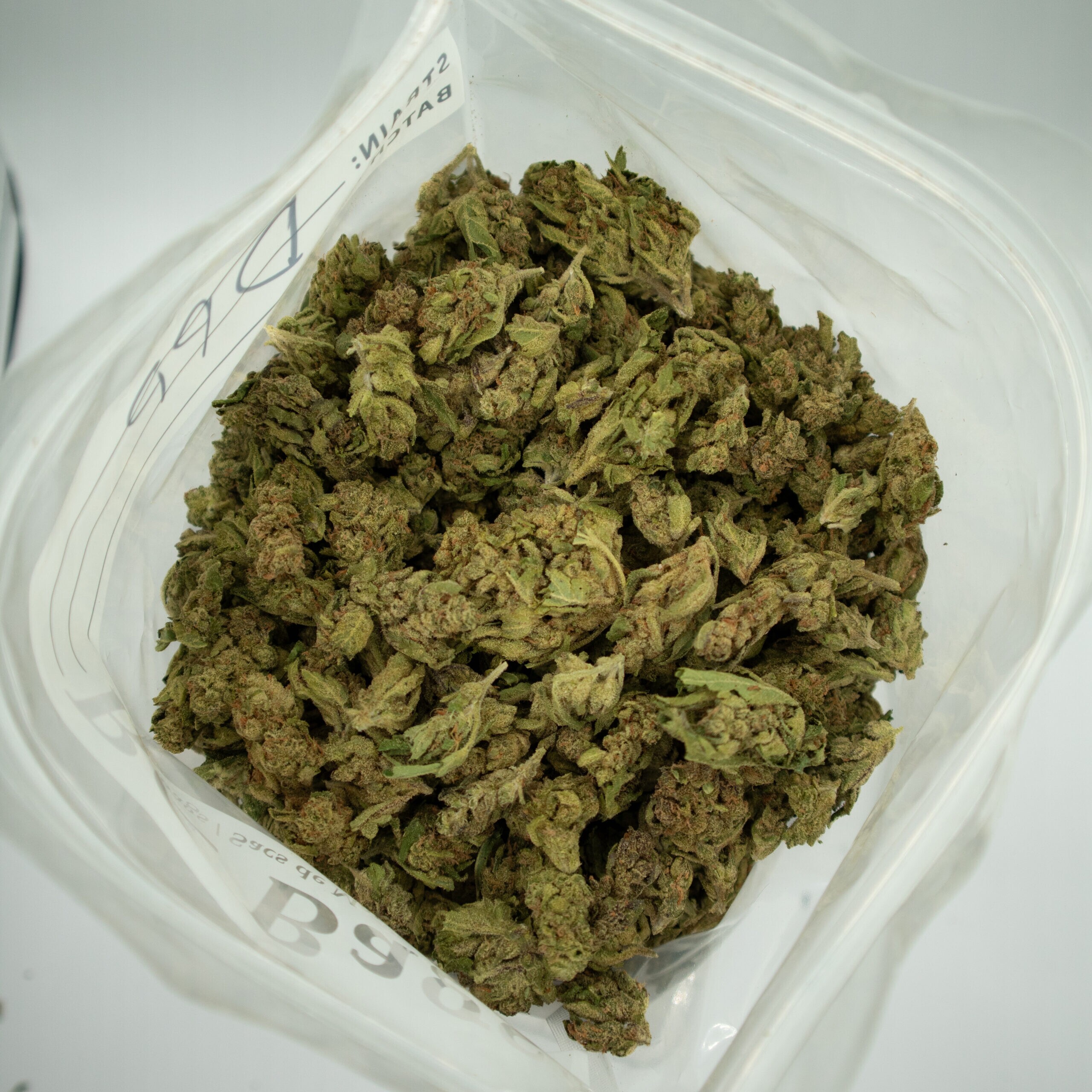 LEMON CHEESECAKE - Sativa (A+)