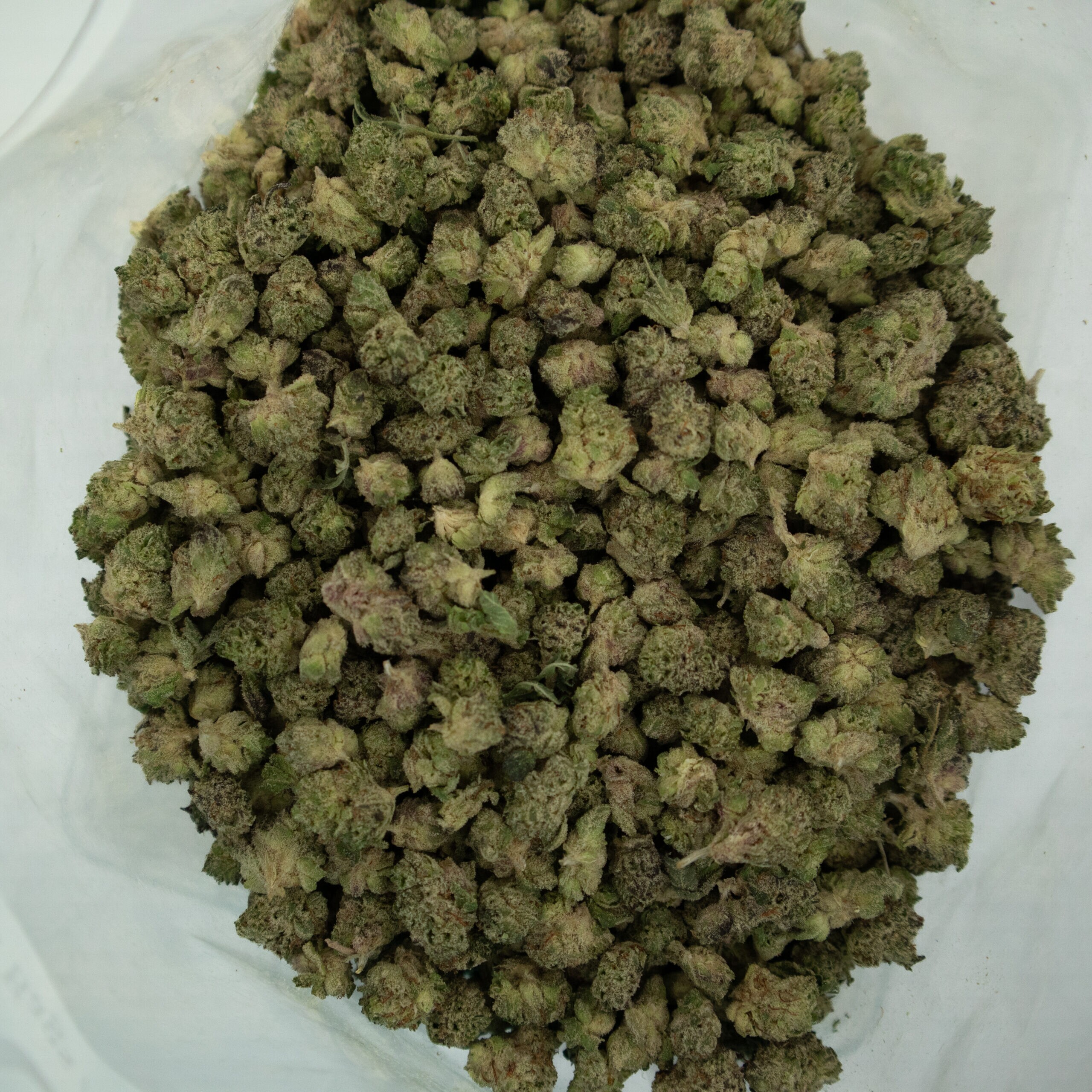BANANA CREAM OG POPCORN - Hybrid (AAA+) - Image 2