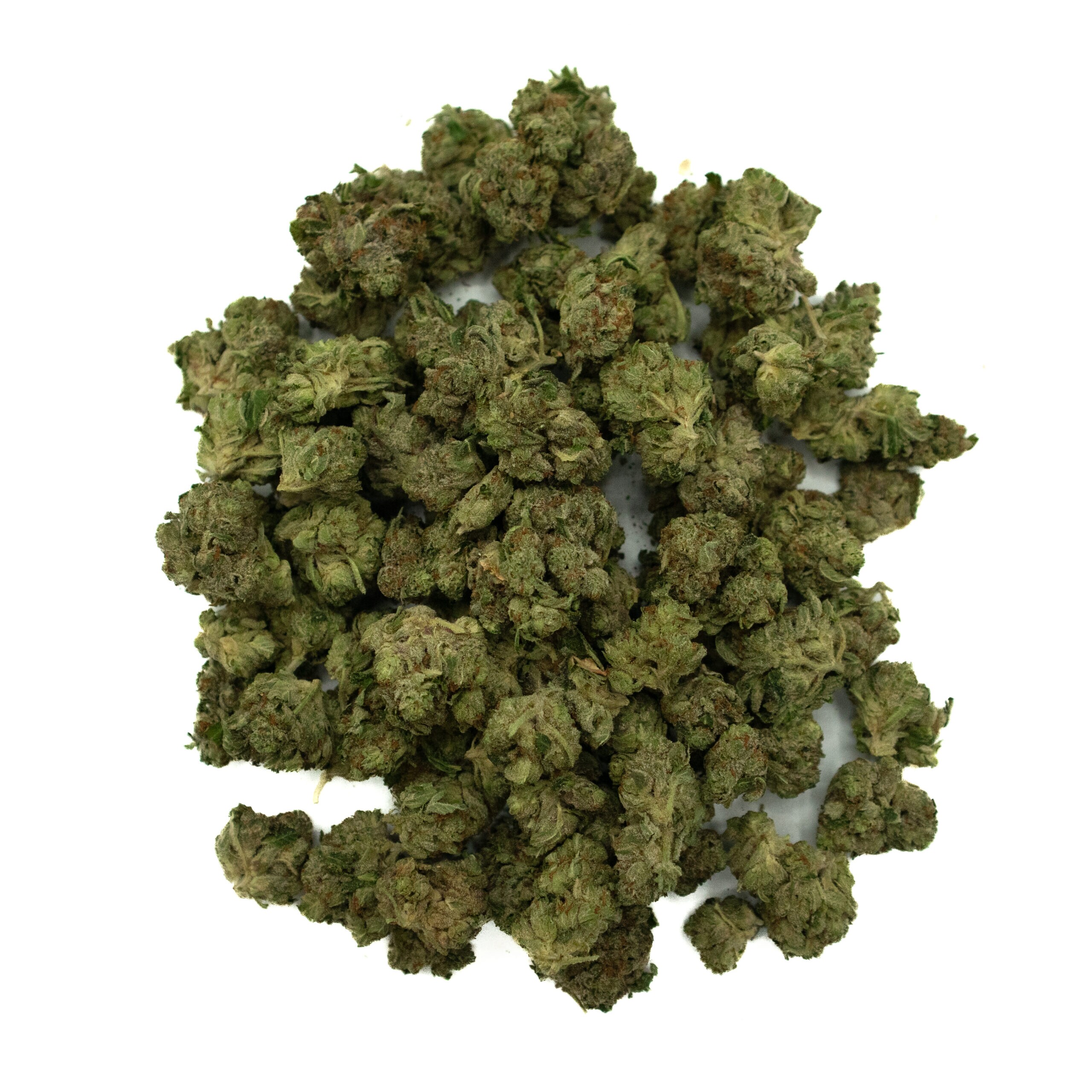 ROCKSTAR KUSH - Indica (AAA+) - Image 2