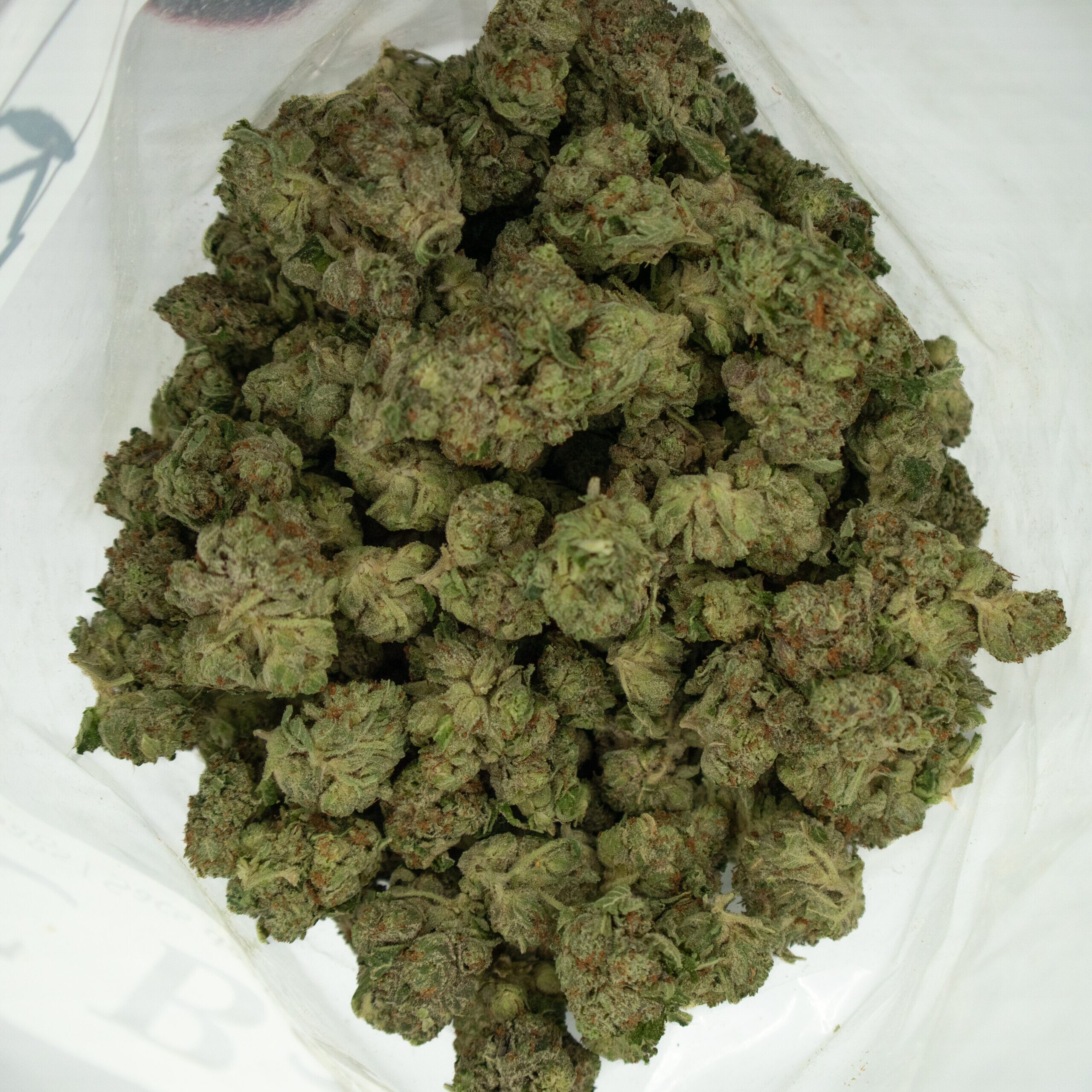 ROCKSTAR KUSH - Indica (AAA+) - Image 3