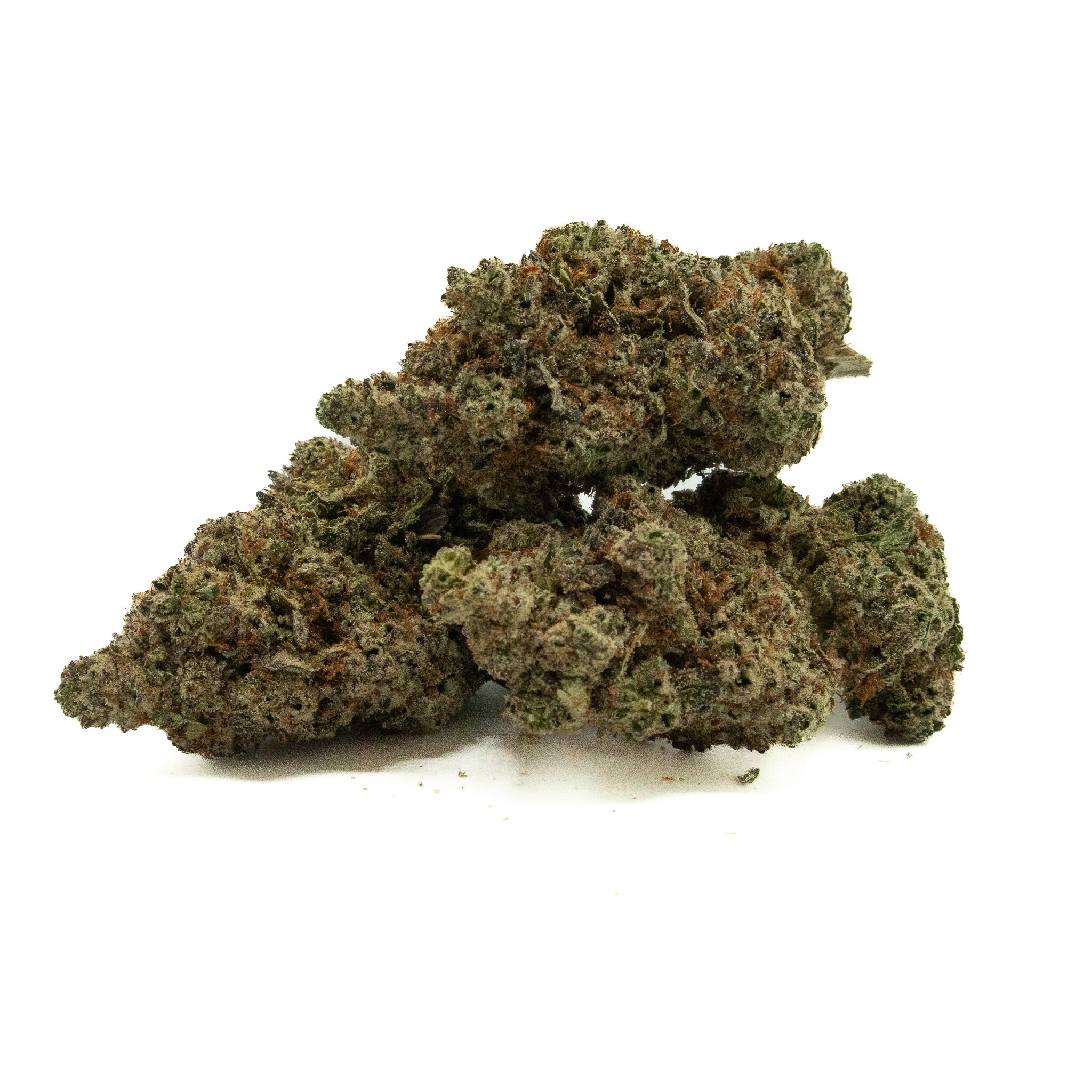 GARY PAYTON - Hybrid (AAAA)
