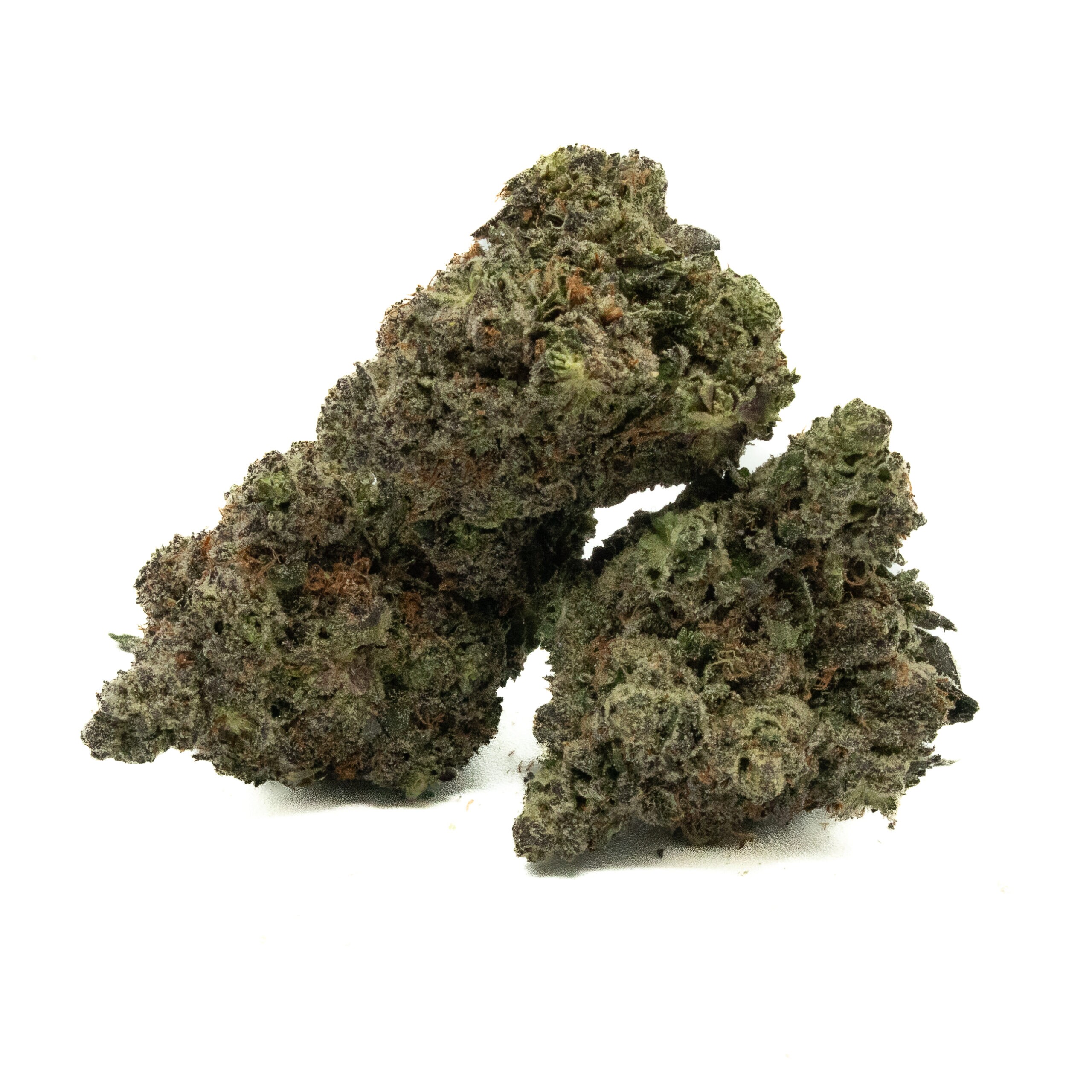 RUNTZ - Hybrid (AAAA)
