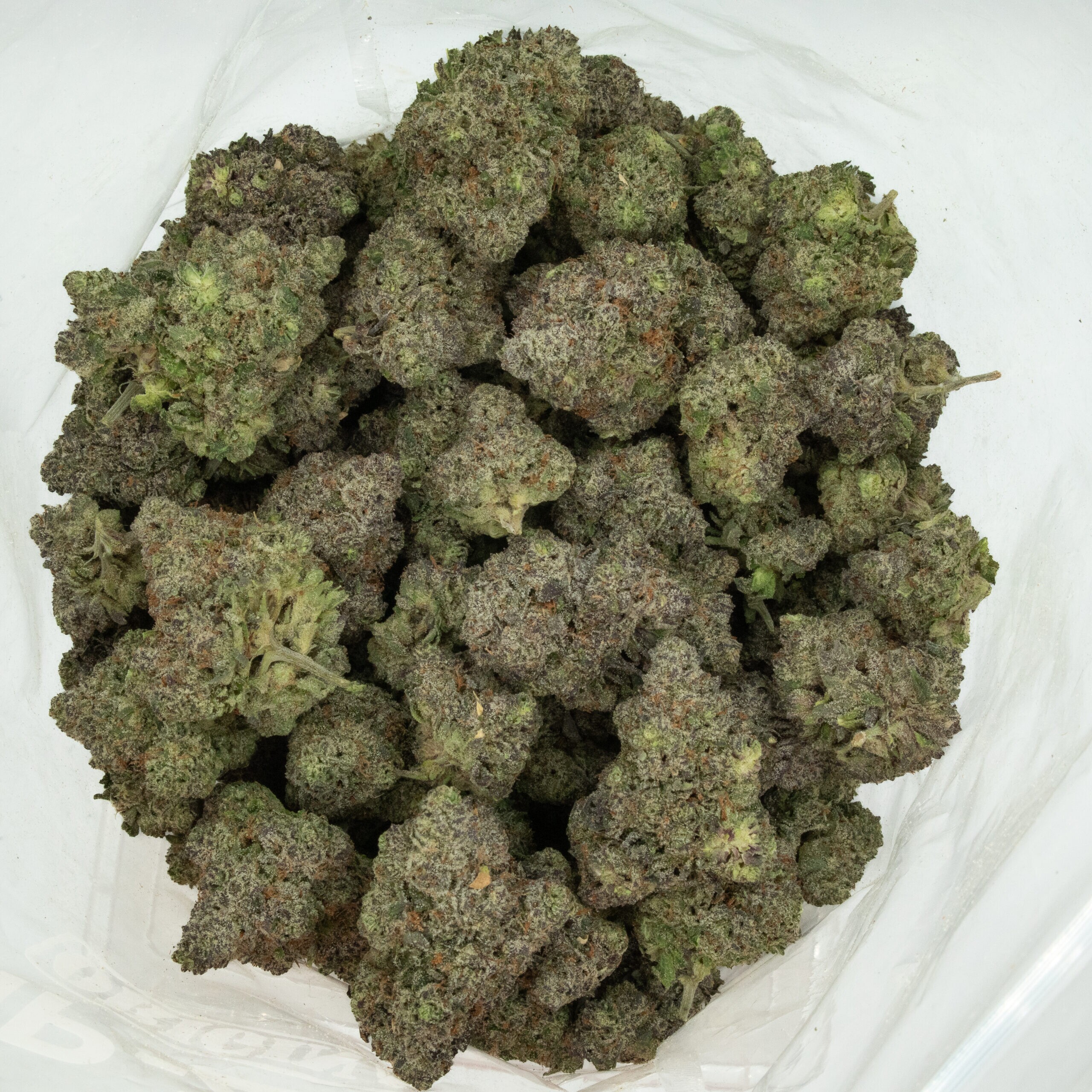 RUNTZ - Hybrid (AAAA) - Image 2