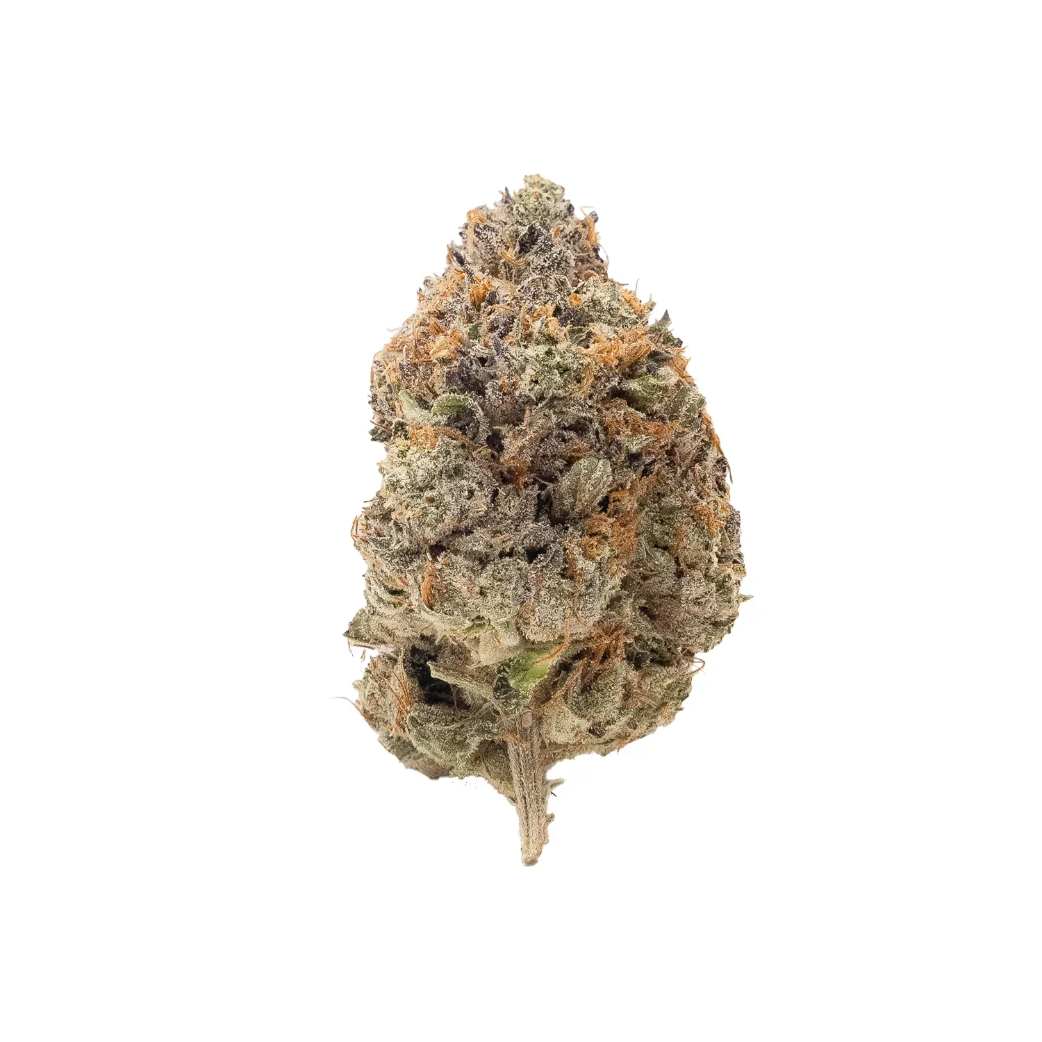 GRANDDADDY PURPLE - Indica (AAA)