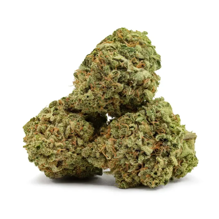 JEAN GUY - Sativa (AAA)