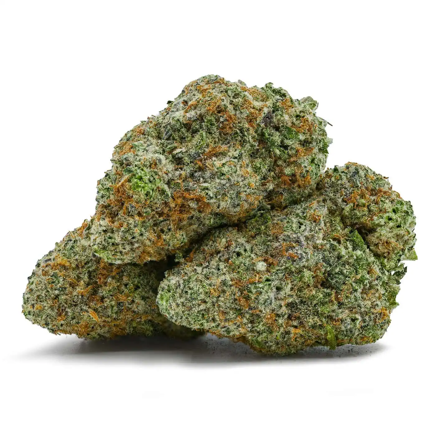 MAC DONUT - Hybrid (AAAA)