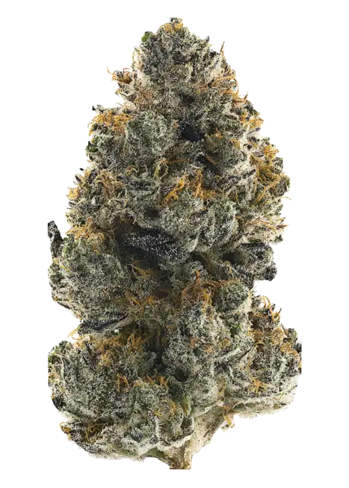 PERMANENT MARKER STRAIN - Hybrid (AAAA)