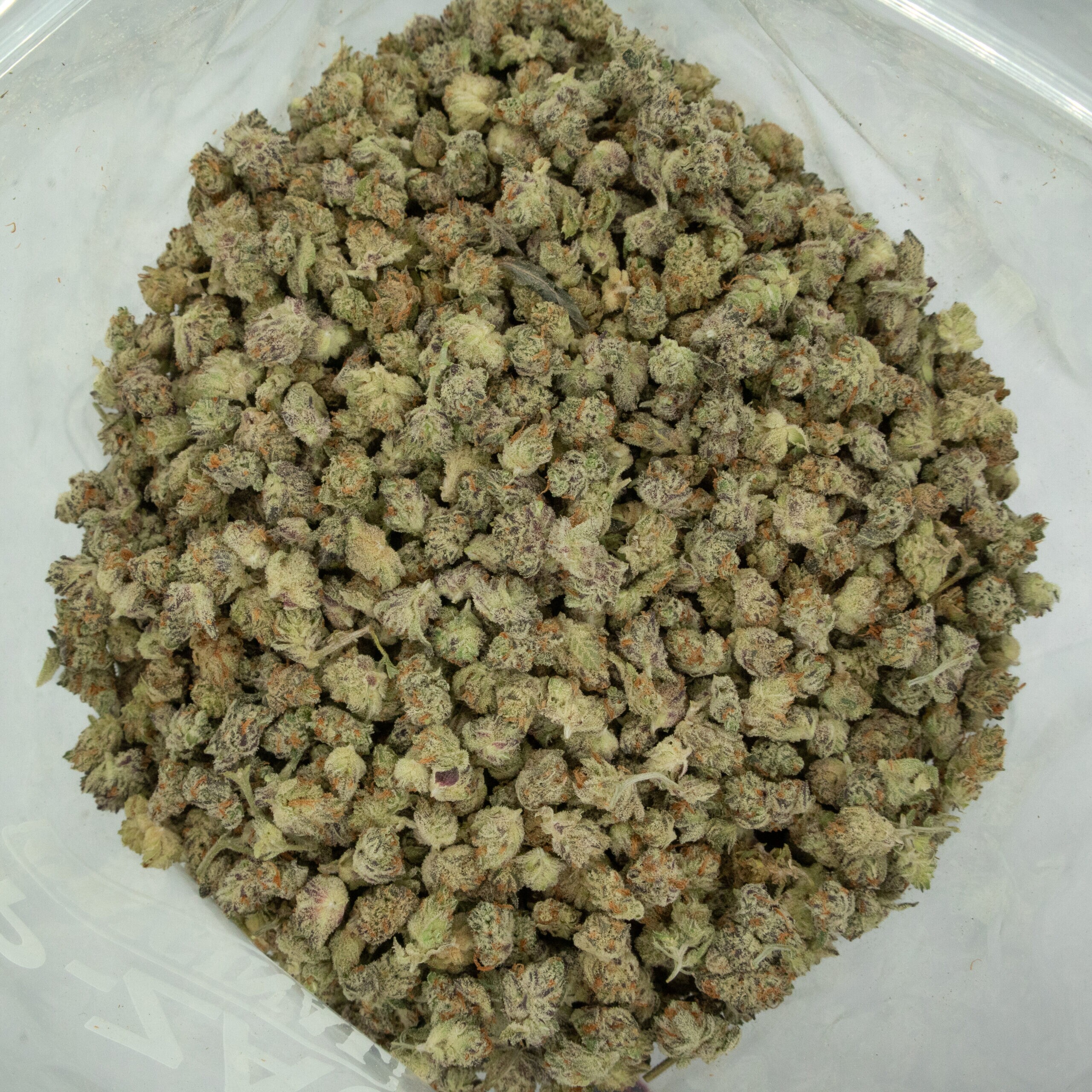 BISCOTTI POPCORN-2