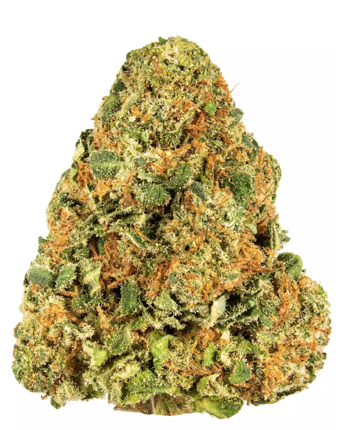 RED DIESEL - Hybrid (AAA)