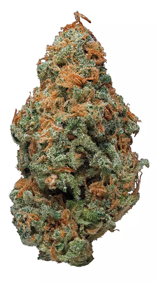 NUKEN - Hybrid (AA+)