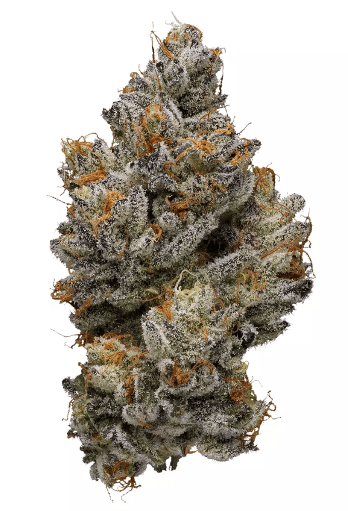 TUNA OG KUSH - Hybrid (AAA)