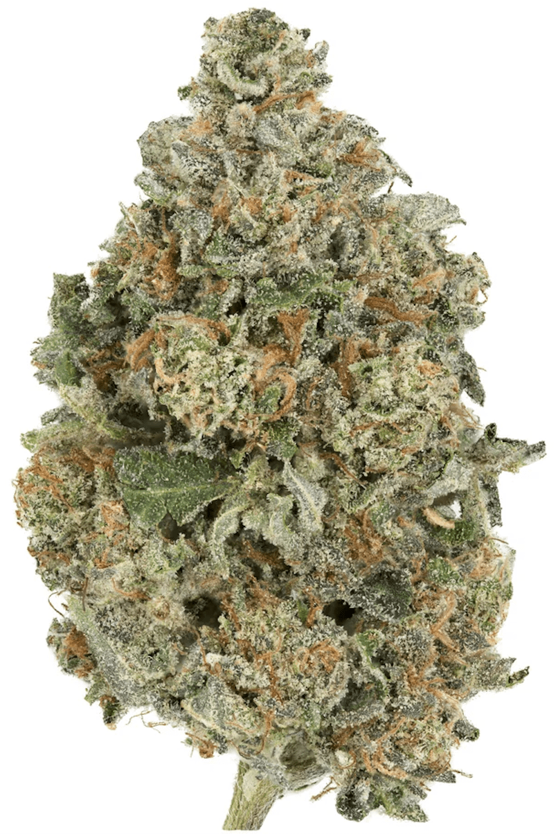 EL JEFE Strain - Indica (AAA)