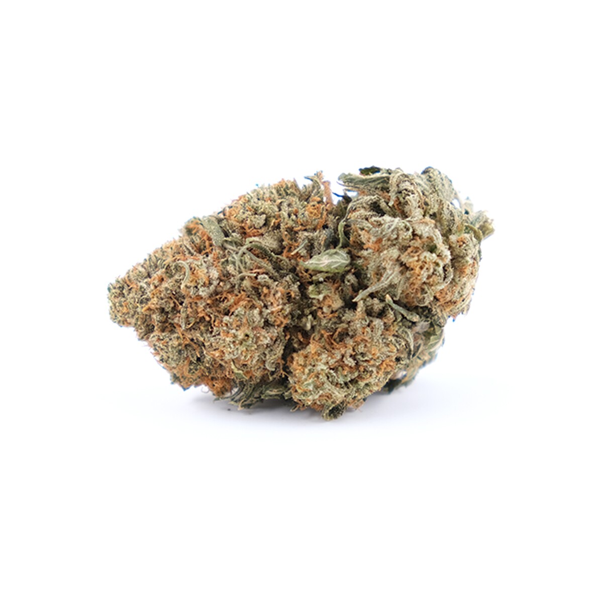 CALI BUBBA - Hybrid (A+)