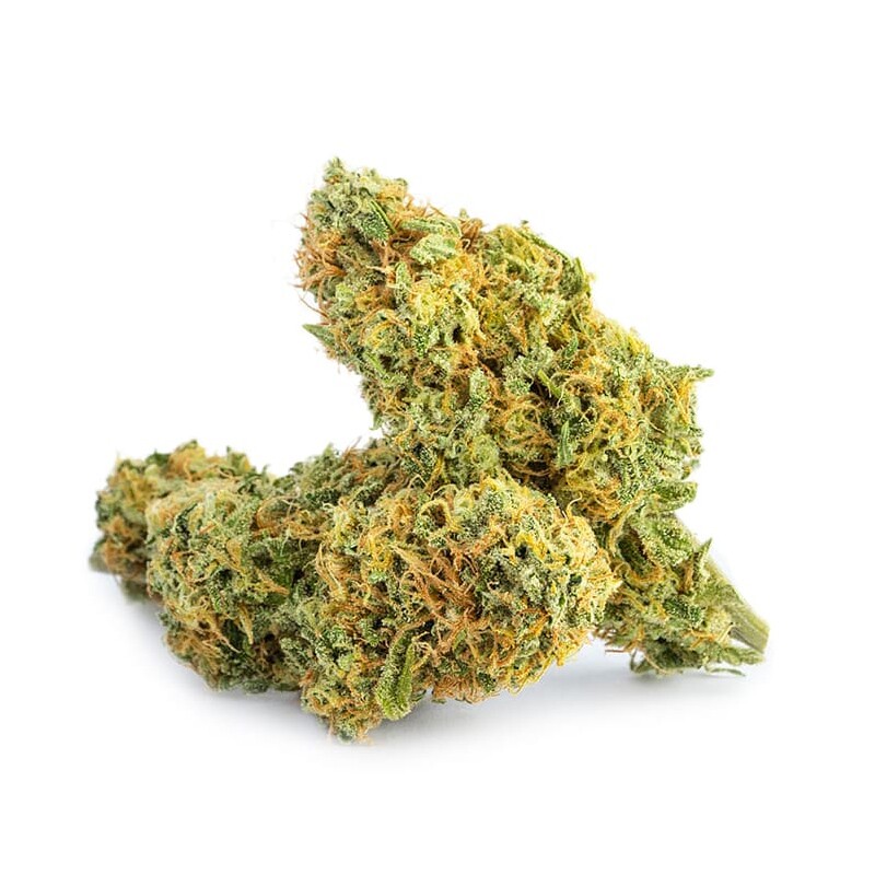 CROWN ROYALE STRAIN - Indica (A+)