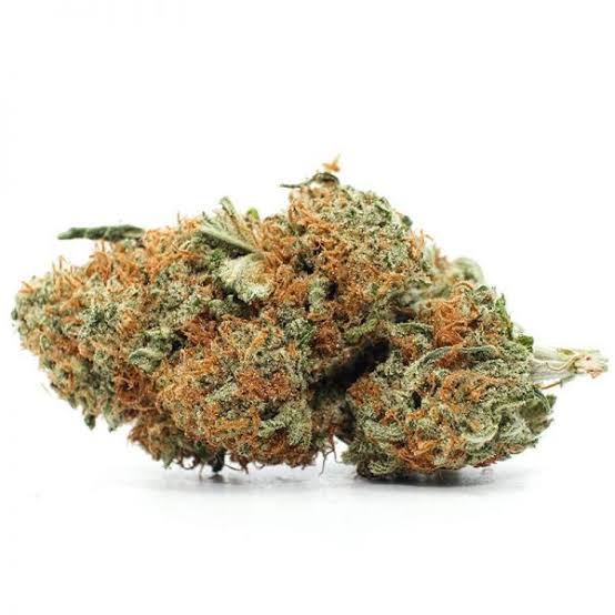 Buy agent orange Strain sativa AAA