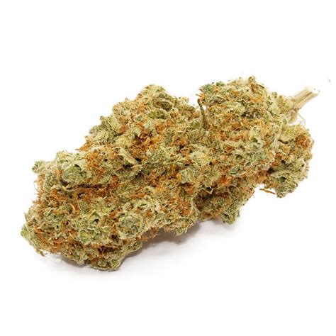 Order Sugar cookie strain AAAA