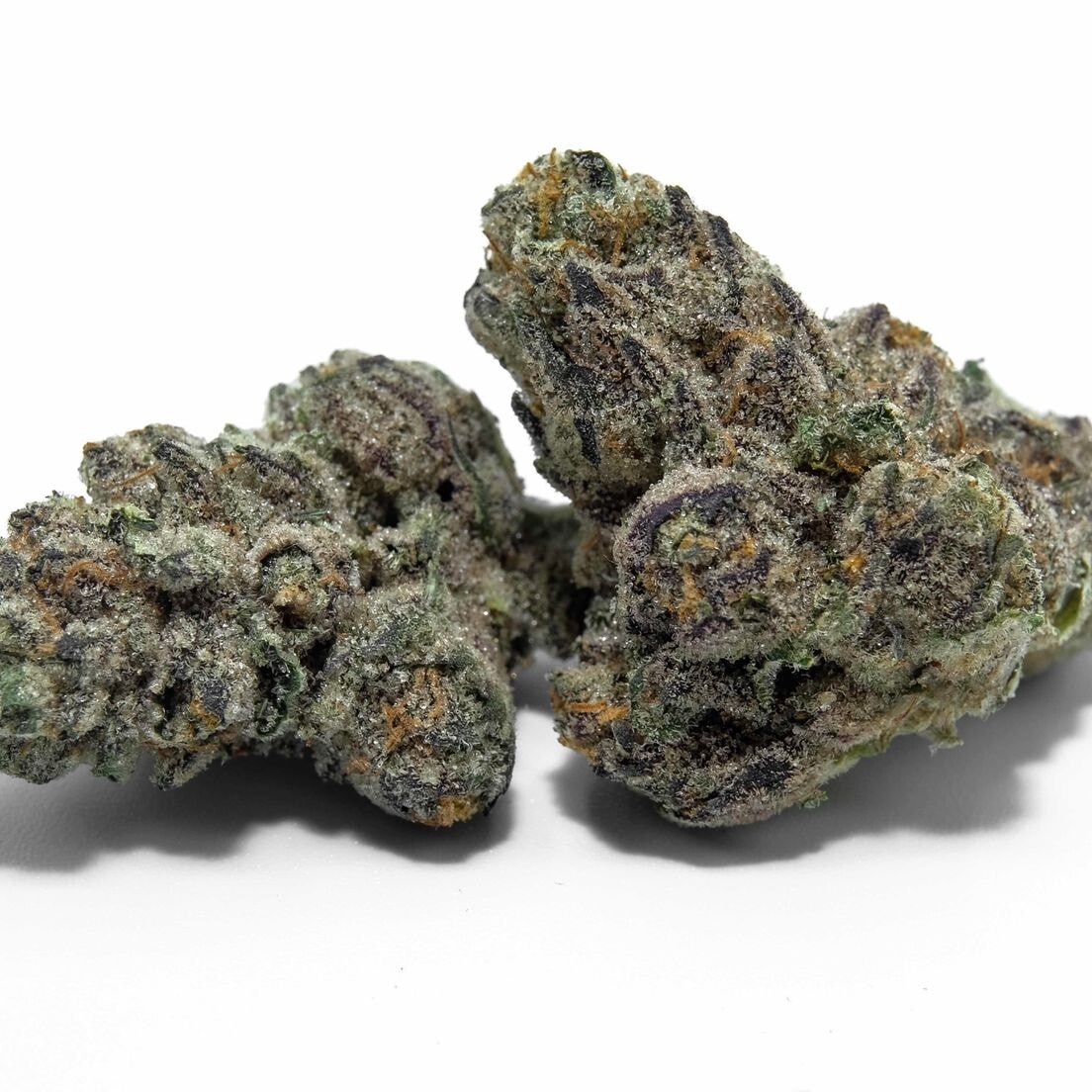 Biscotti Gushers Strain