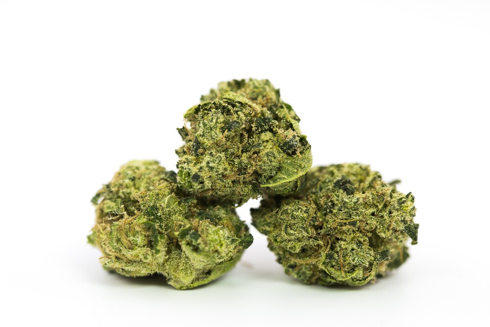 SAGE OG - Hybrid (A)