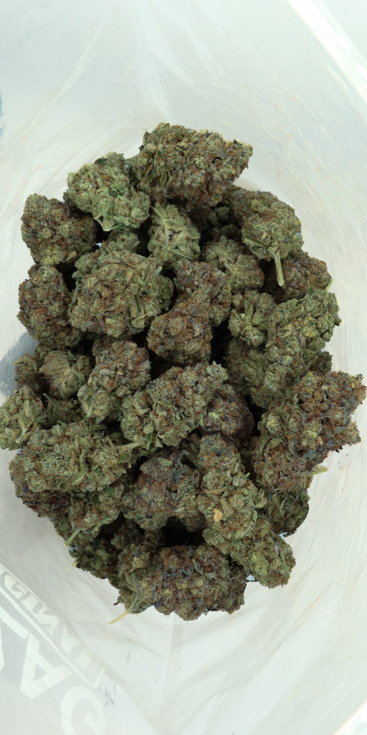 FROSTED KUSH CAKE - Hybrid (AAAA) - Image 3