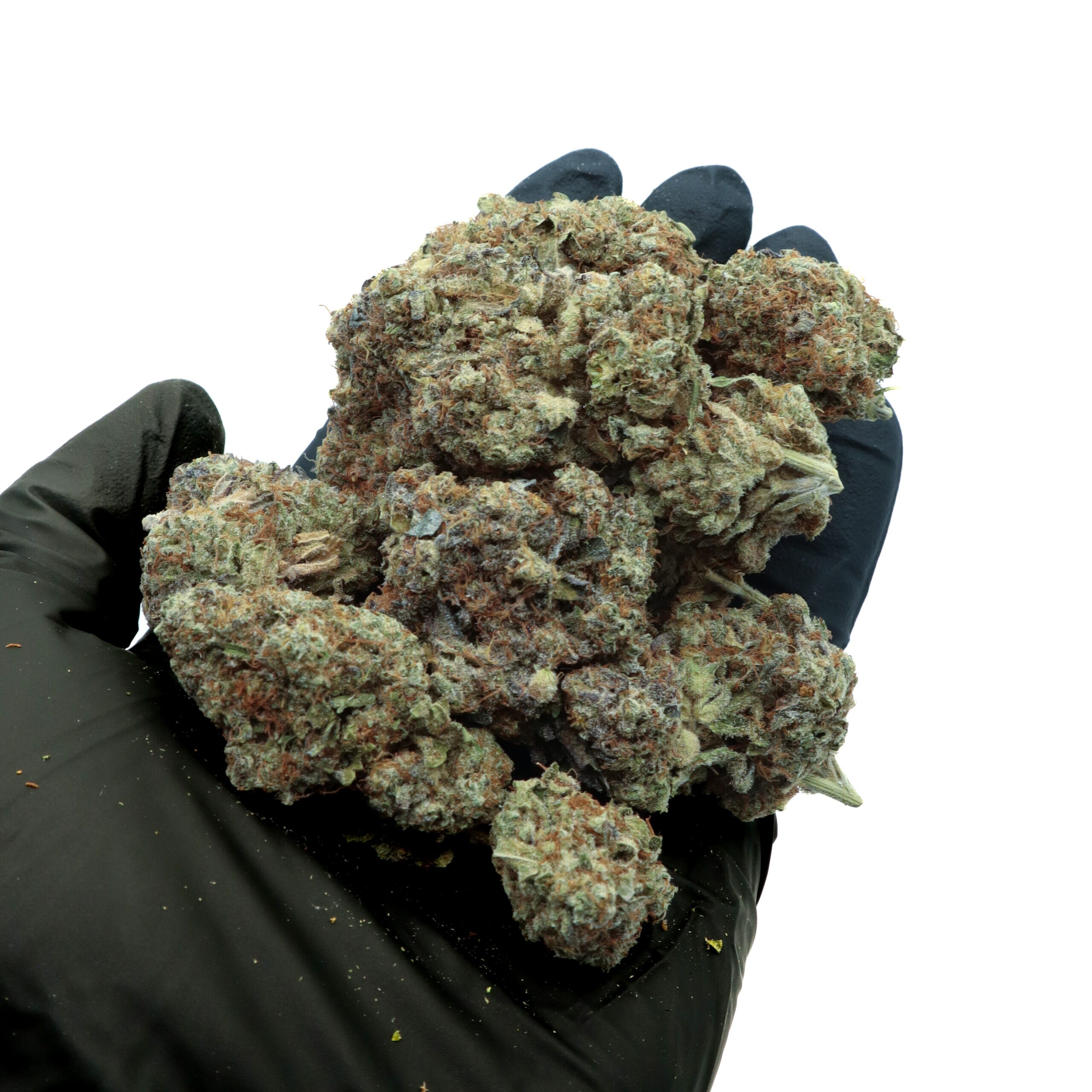 FROSTED KUSH CAKE - Hybrid (AAAA) - Image 2