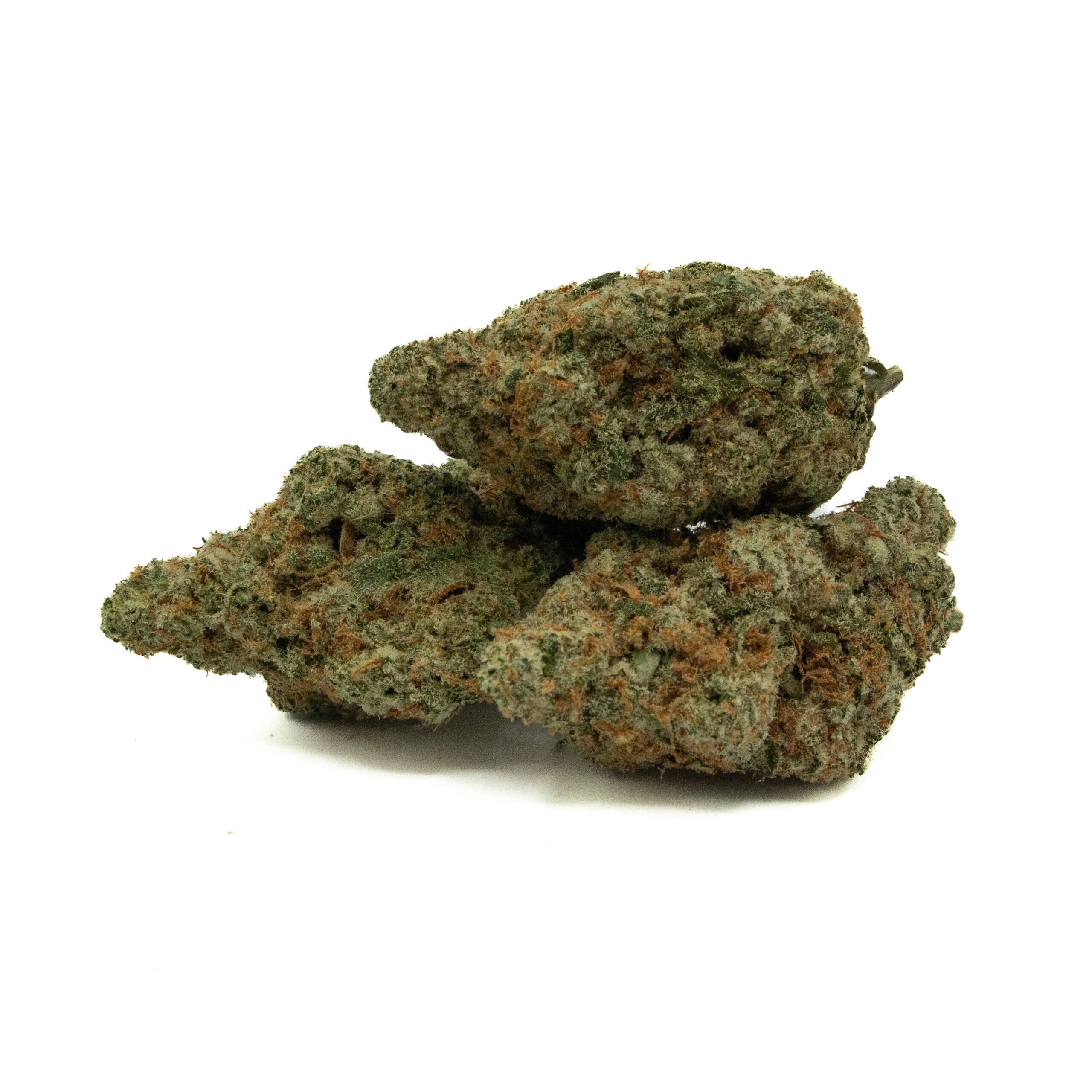 CHERRY GELATO - Hybrid (AAA+)
