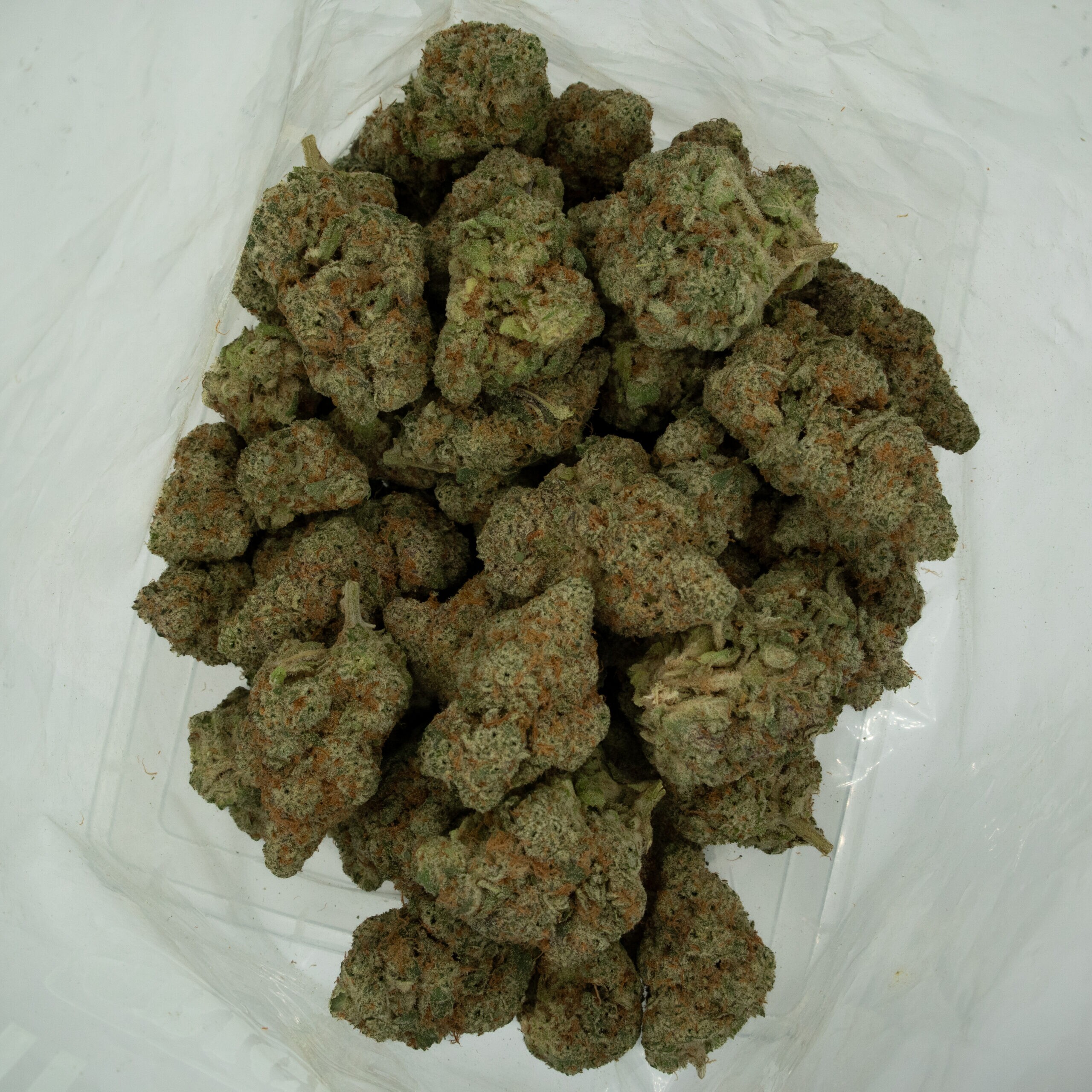 CHERRY GELATO - Hybrid (AAA+) - Image 2