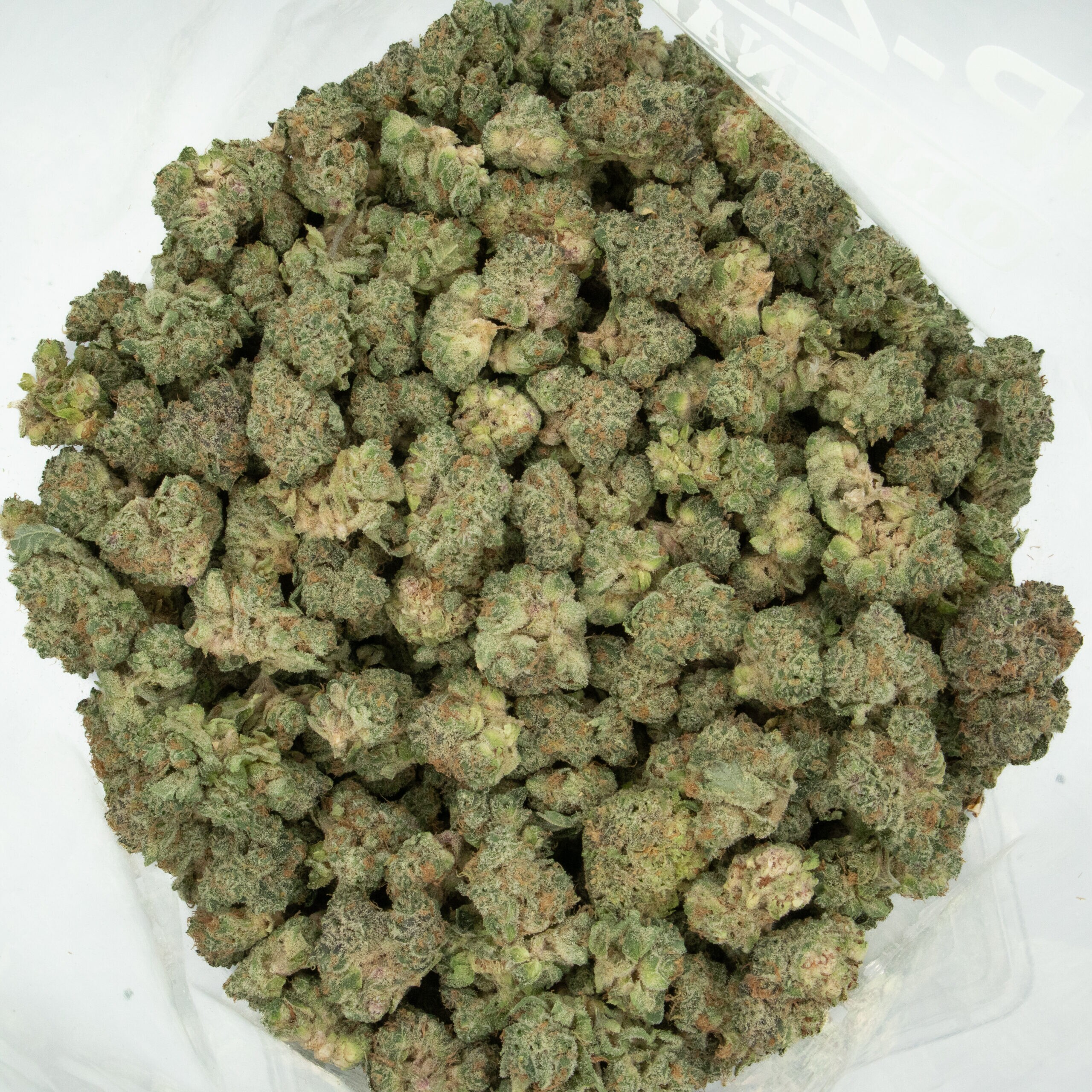 JERRY BERRY SMALL BUDS - Hybrid (AAA+) - Image 2