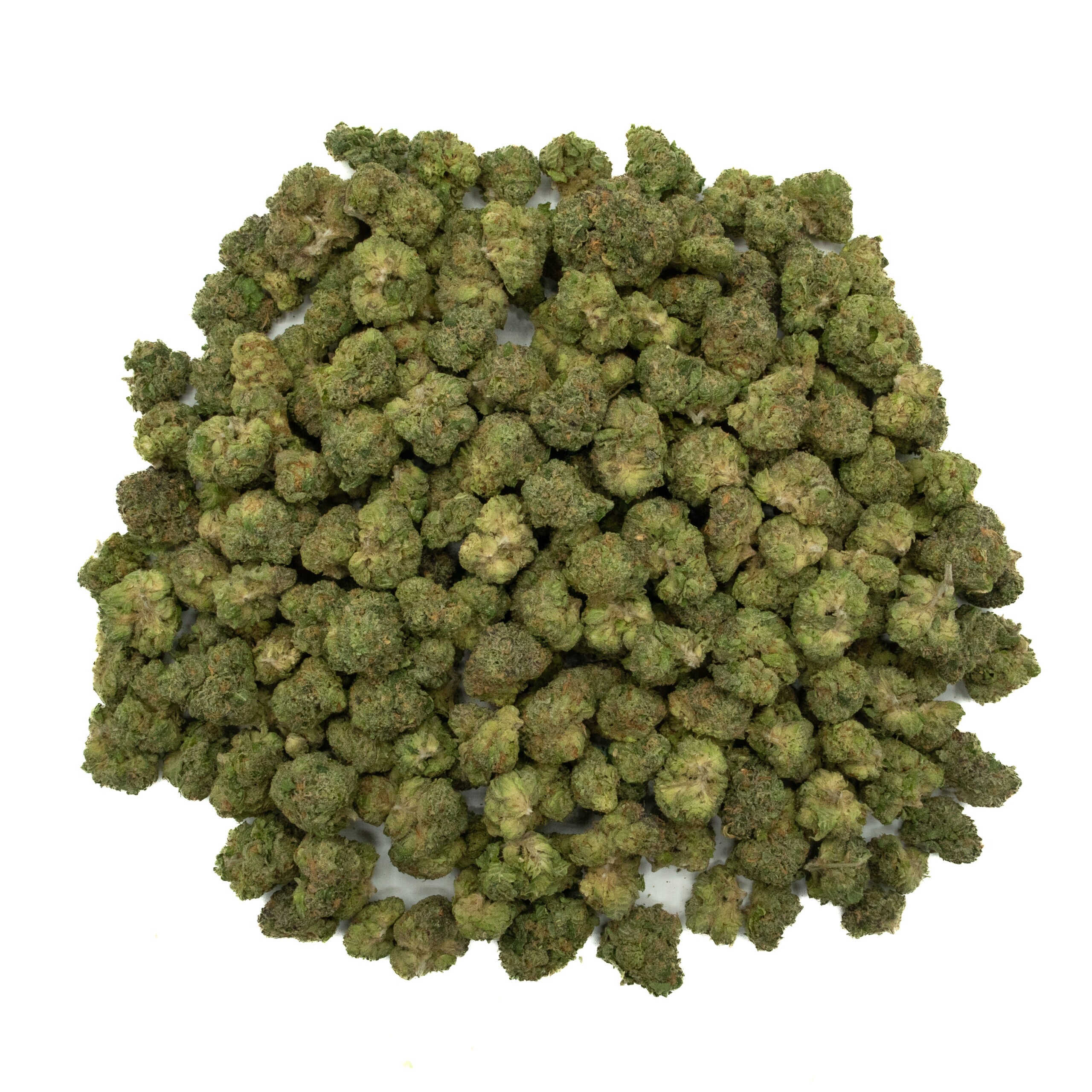 JOKERZ SMALL BUDS - Hybrid (AAA+)