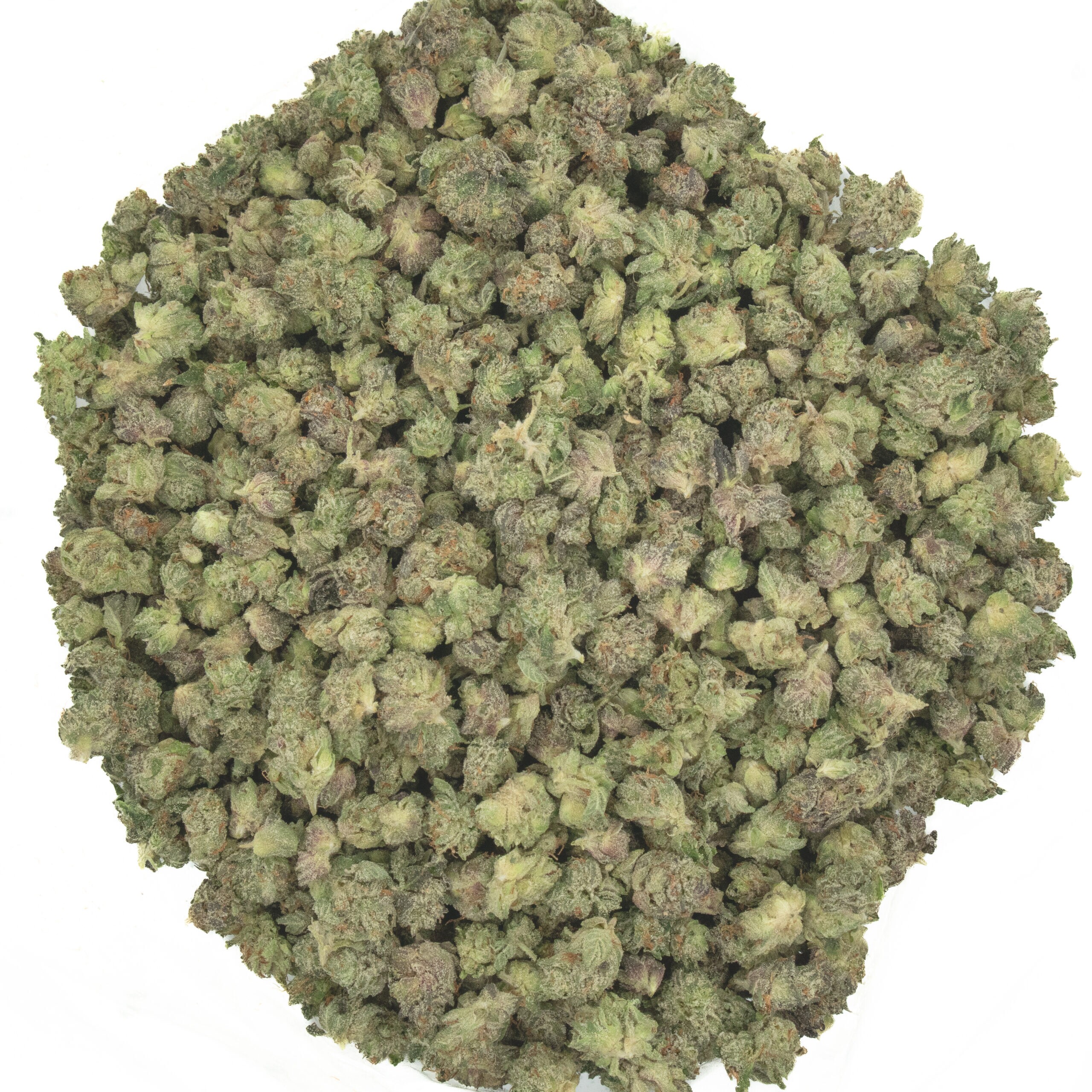 PINK KUSH POPCORN BUDS - Hybrid (AAA) - Image 2