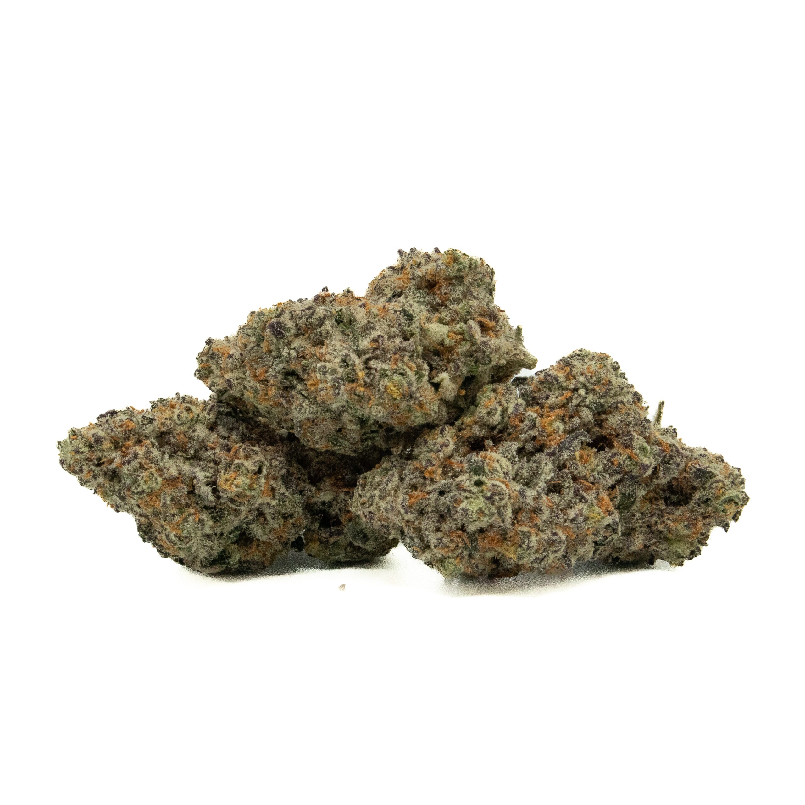 RAINBOW CHIP - Hybrid (AAAA)