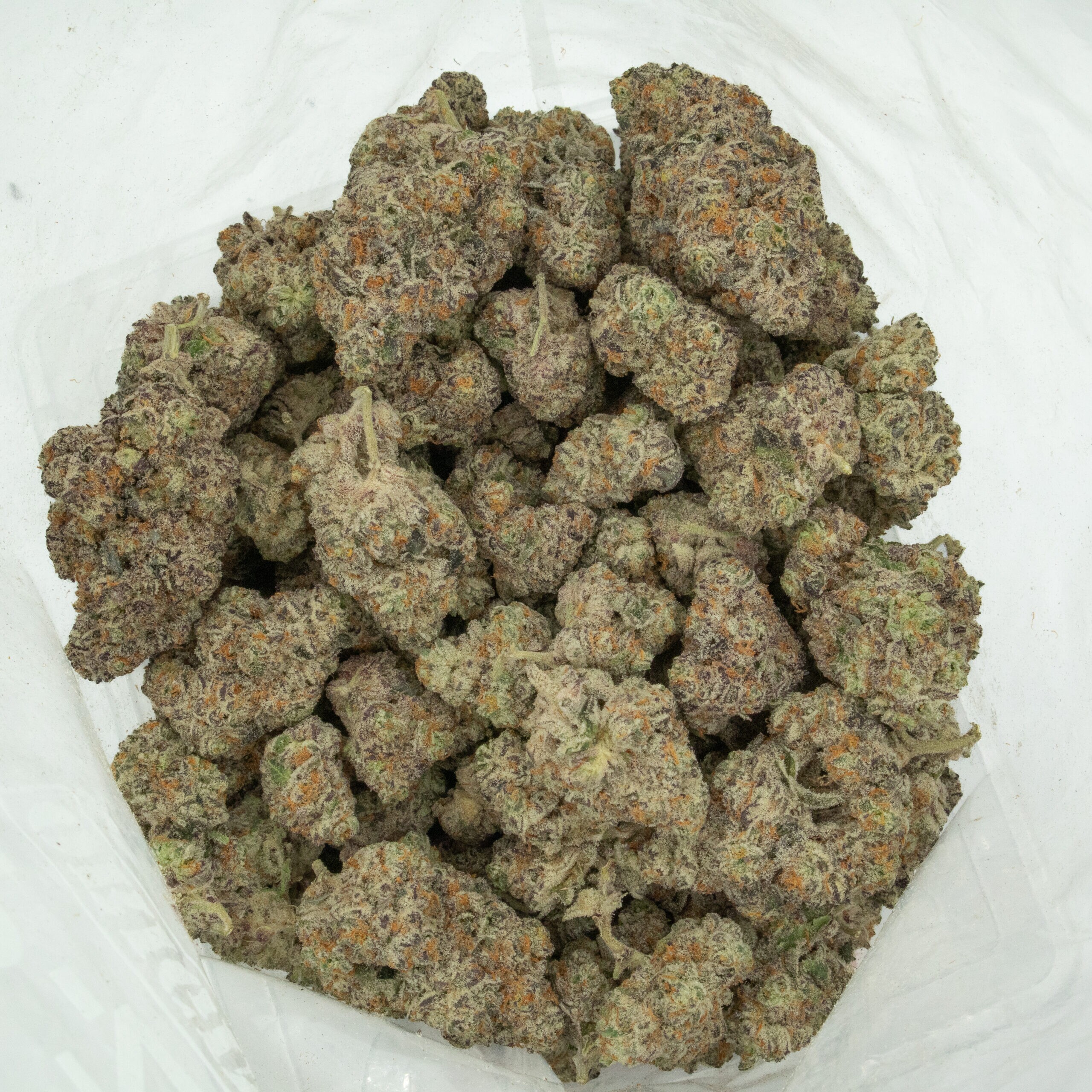 RAINBOW CHIP - Hybrid (AAAA) - Image 2