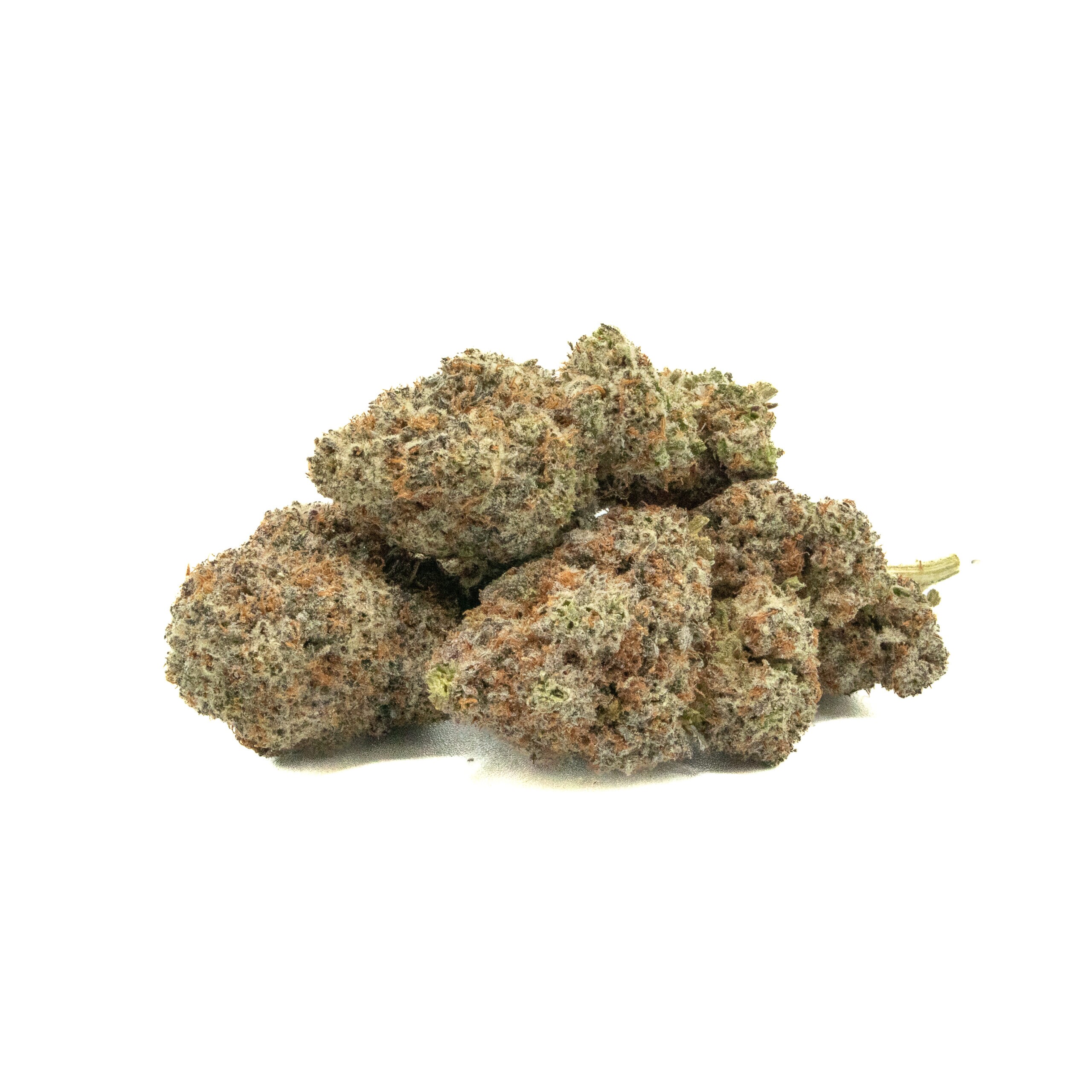 GUMMY BEAR - Hybrid (AAA+)