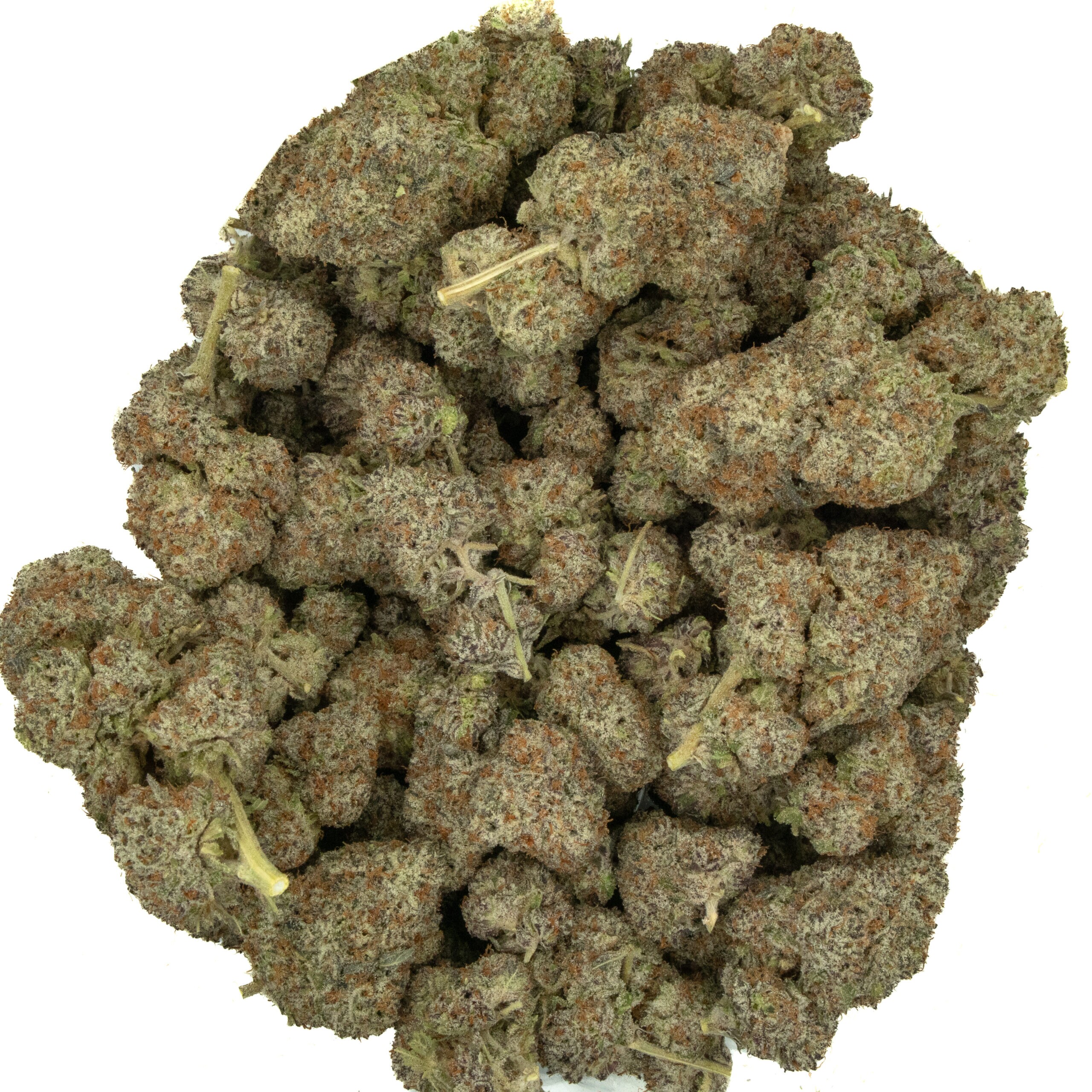 GUMMY BEAR - Hybrid (AAA+) - Image 2