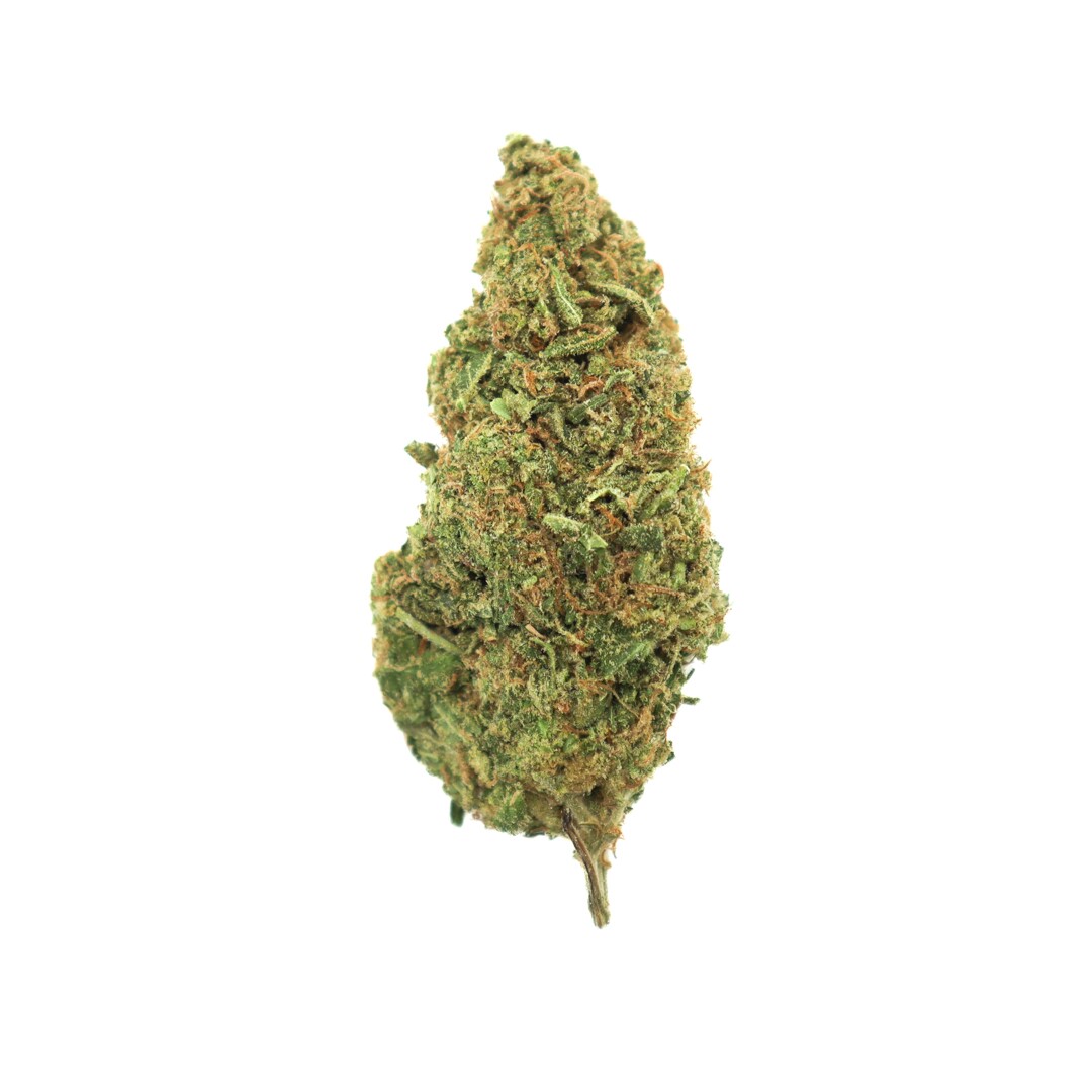 SWEETISLANDSKUNK(AAA)