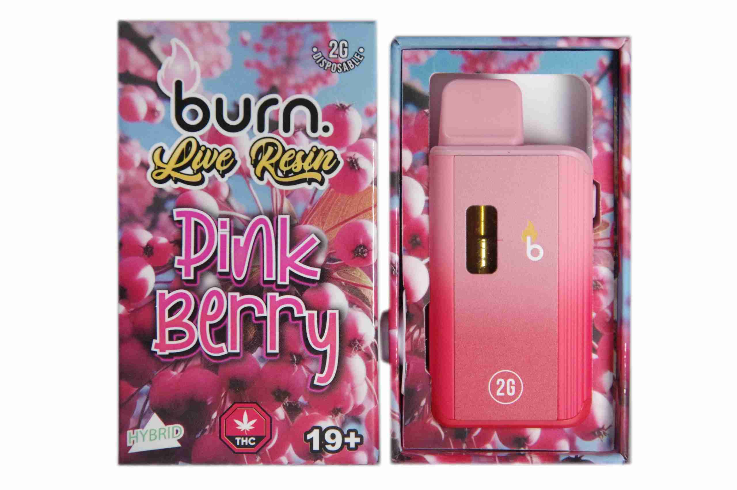 Burn Live Resin Disposable Vape Pen 2g Online